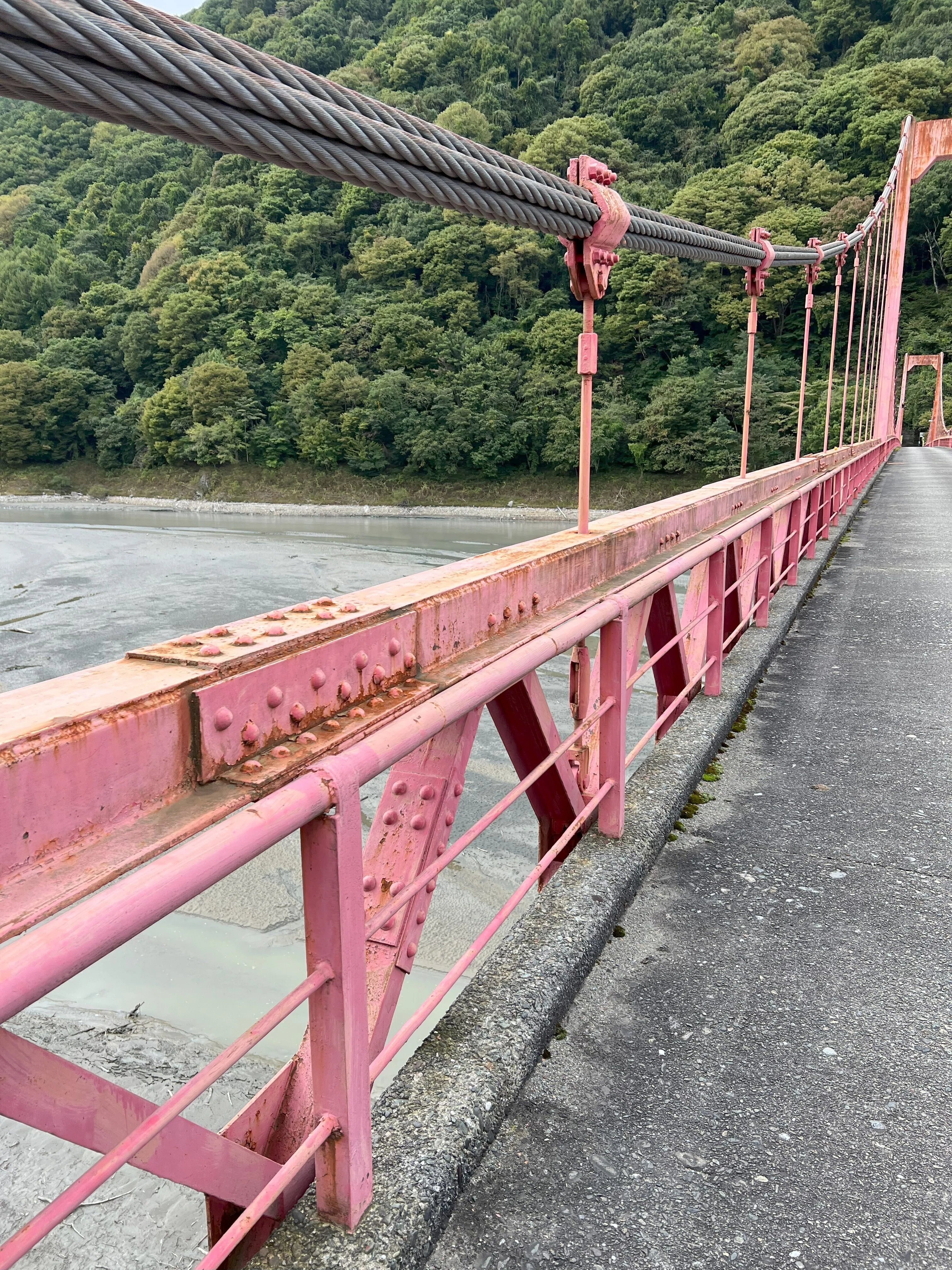 富山県 大渡橋 国道に架かる現存最古の吊り橋を拝見(国道156号 南砺市 富山県 大渡橋 国道に架かる現存最古の吊り橋を拝見(国道156号 南砺市