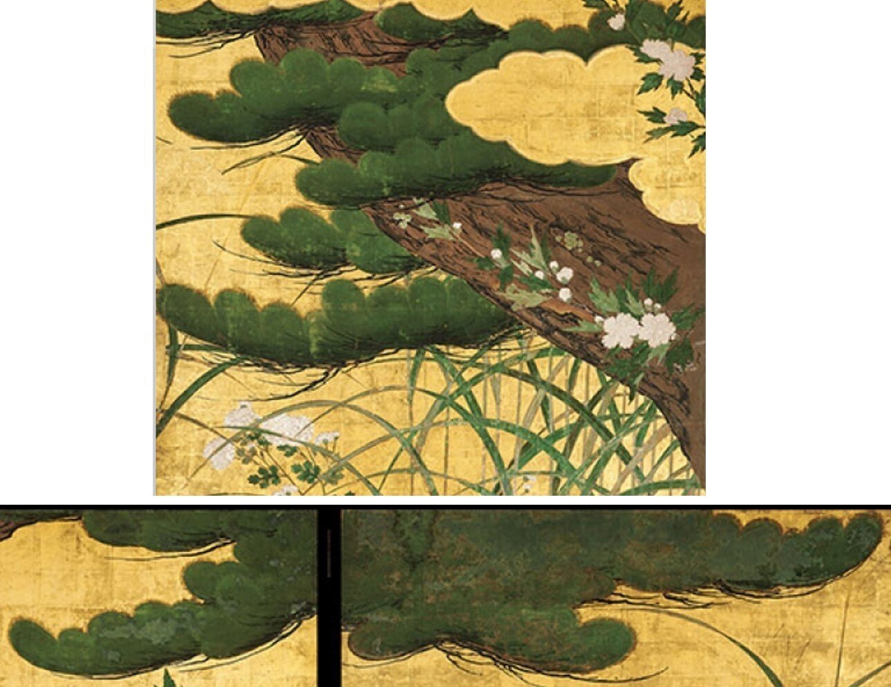 国宝障壁画展示《楓図》《桜図》(智積院・宝物館):茫々60年 国宝障壁画展示《楓図》《桜図》(智積院・宝物館):茫々60年