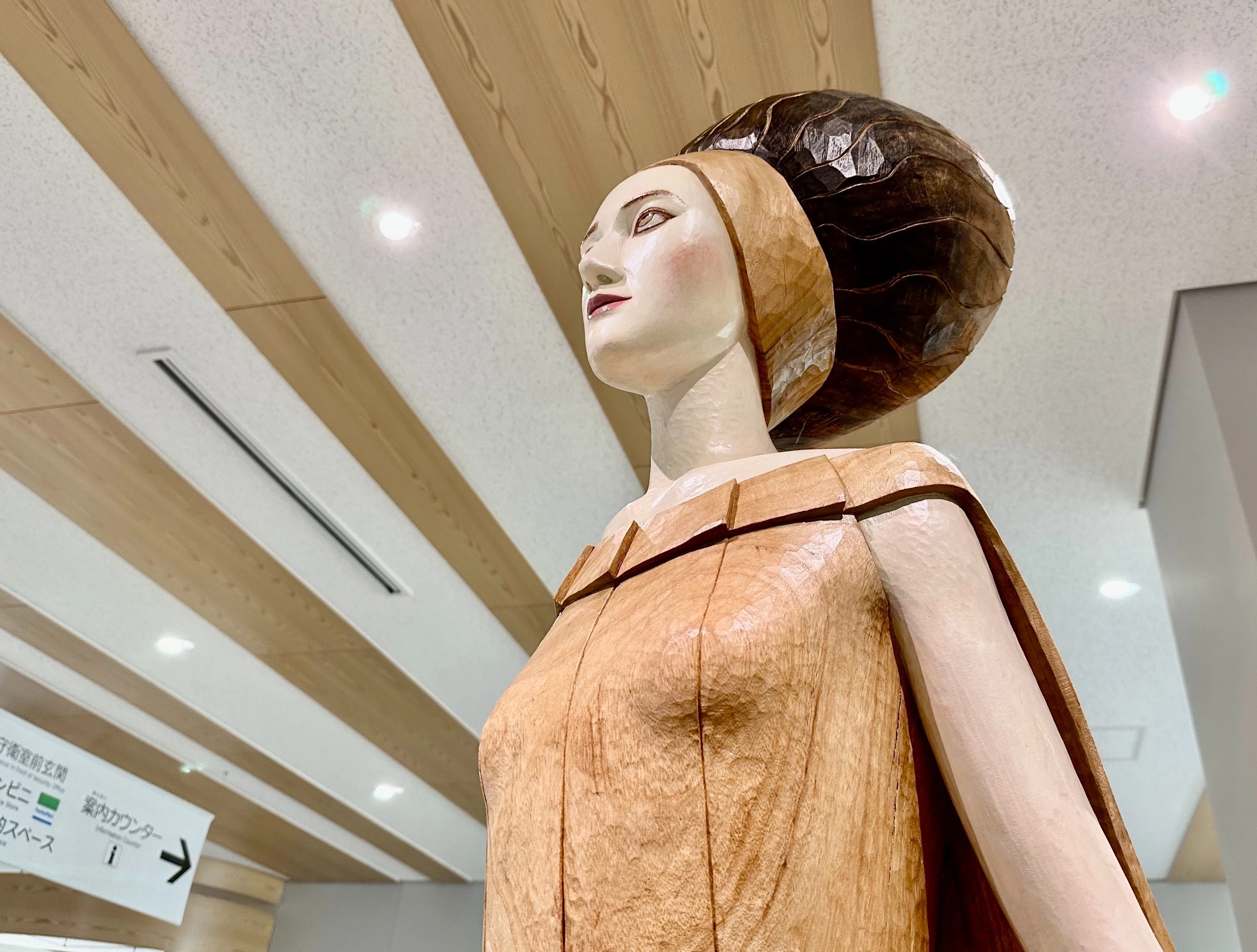 クスノキは姿を変えて時を刻む｜sanchi