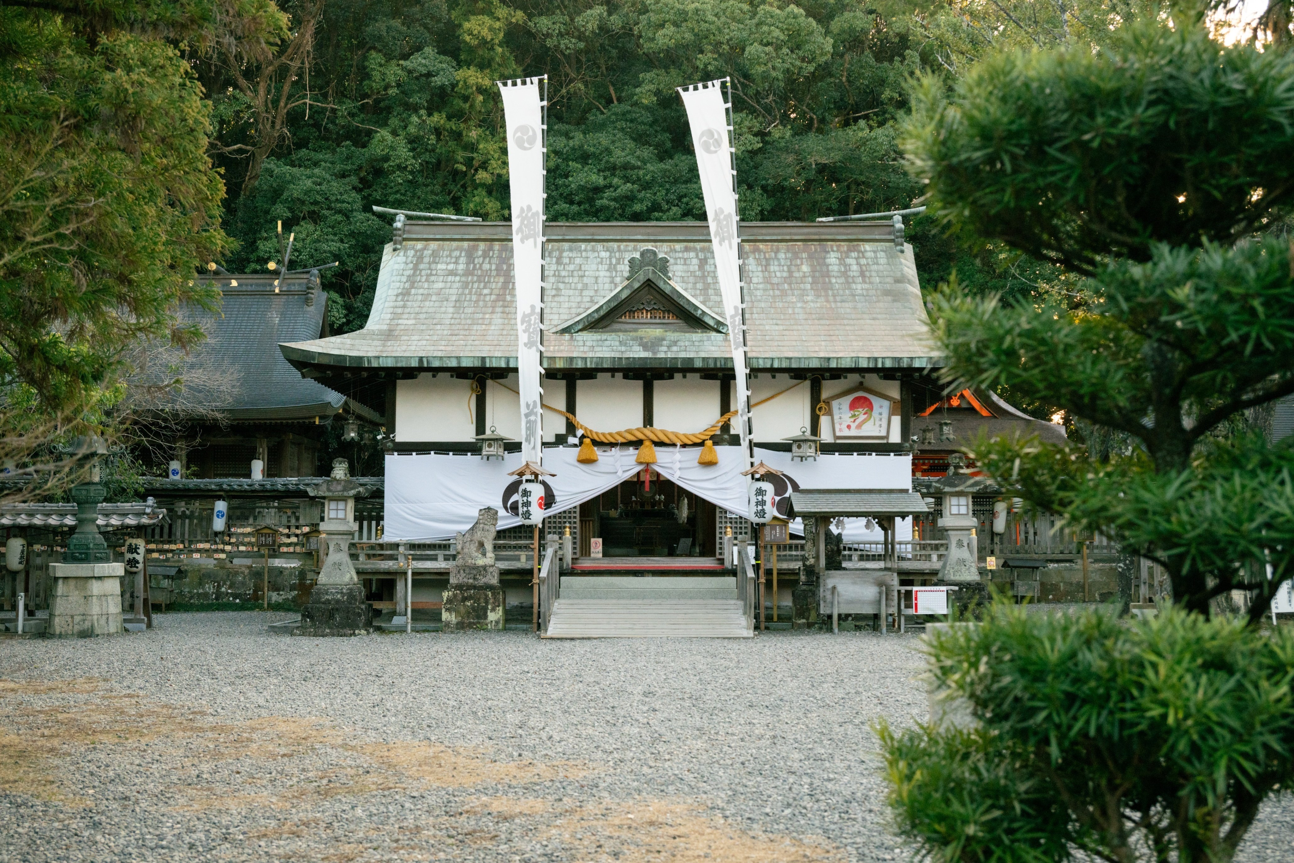 岩井圭也が「どうしても南方熊楠を書きたかった！」その理由