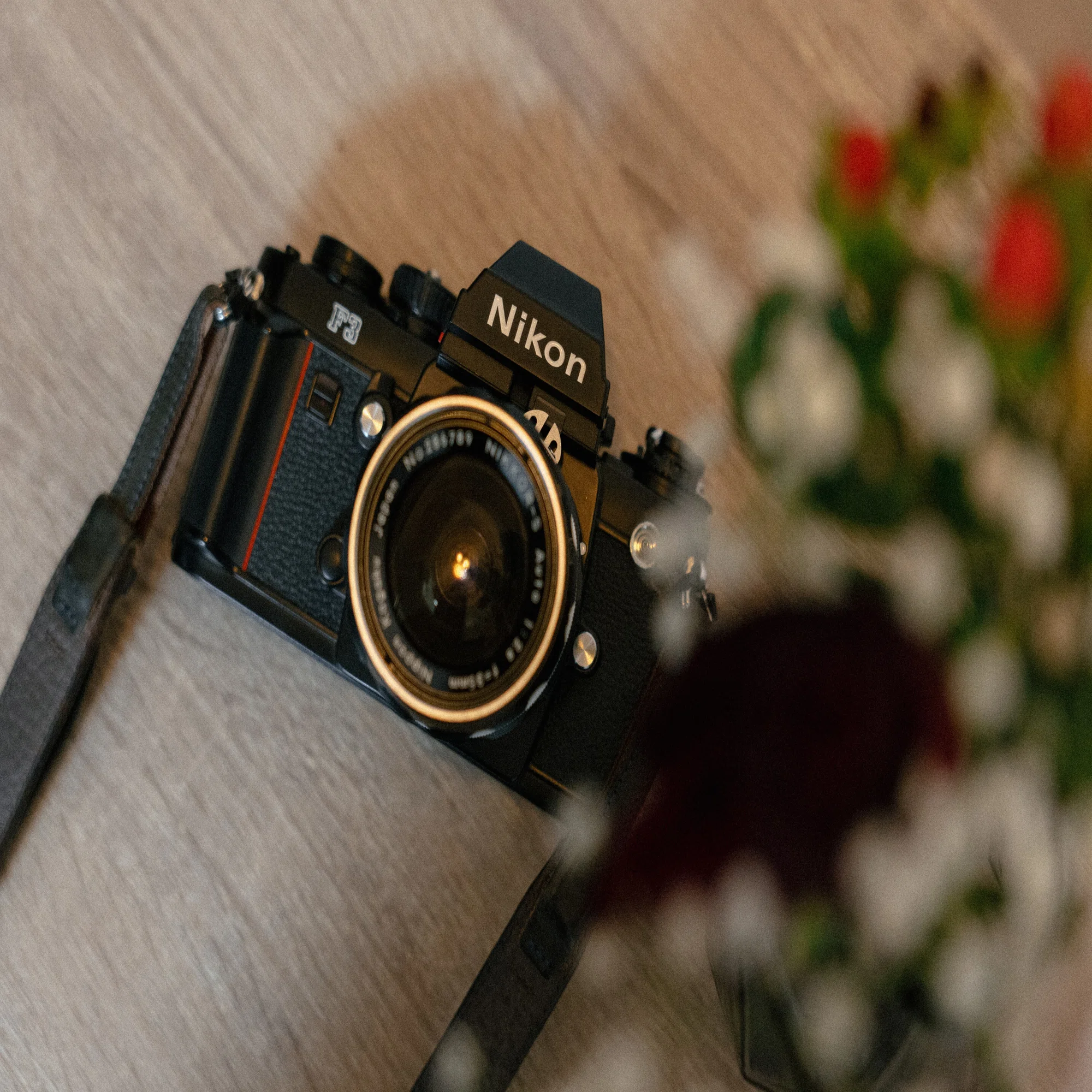 Nikon F3 作例】ファーストロールと好きな写真｜福井達也 | Tatsuya Fukui