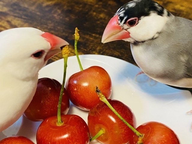 甲状腺腫はどのように診断されますか?