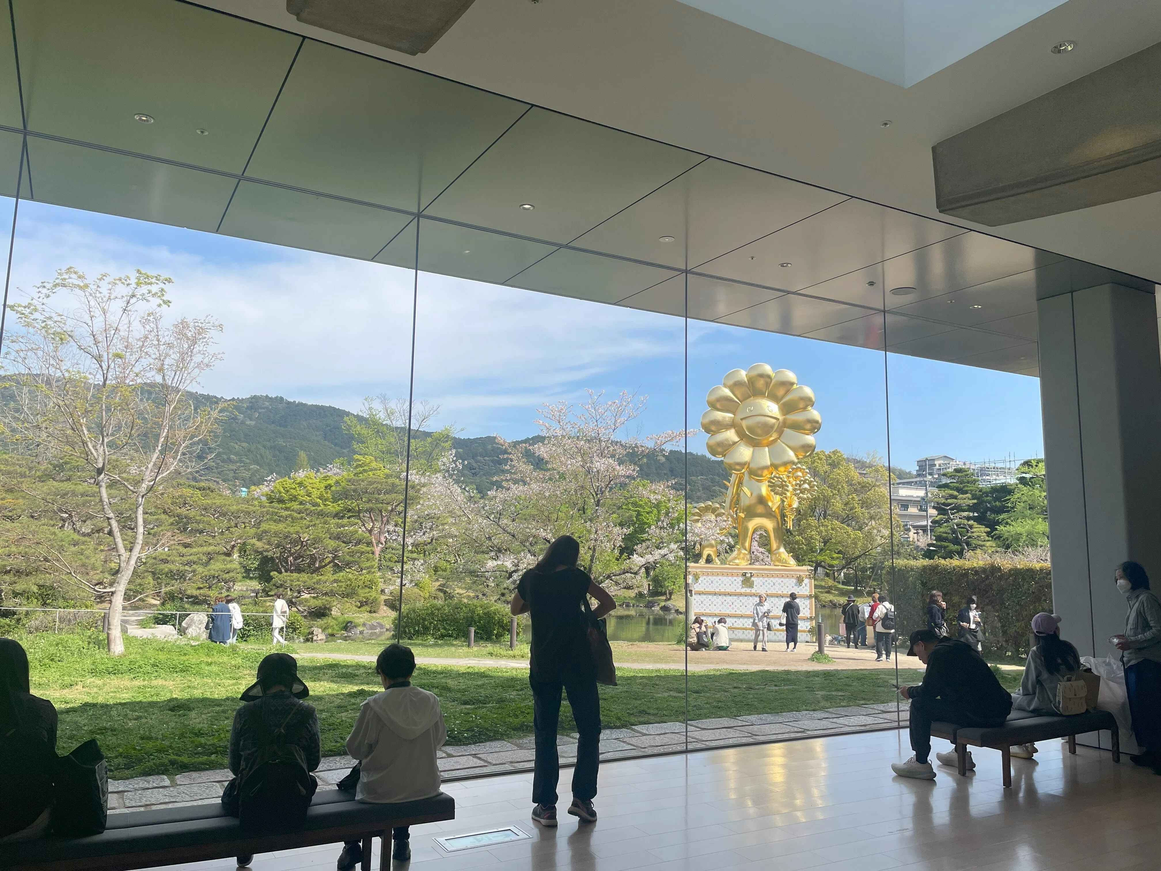 京都で桜旅①京都市京セラ美術館｜いかフライ