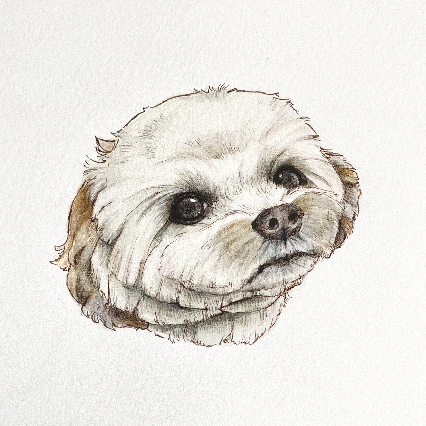 愛犬アート F15号 EIJI TAMURA DOG ART【フルオーダーメイド絵画