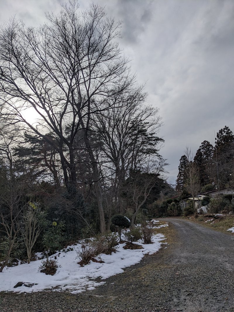 20240128 川内追廻、川内亀岡町、川内三十人町、荒巻青葉(仙台市) 風景誤読|滴々(たらたら)