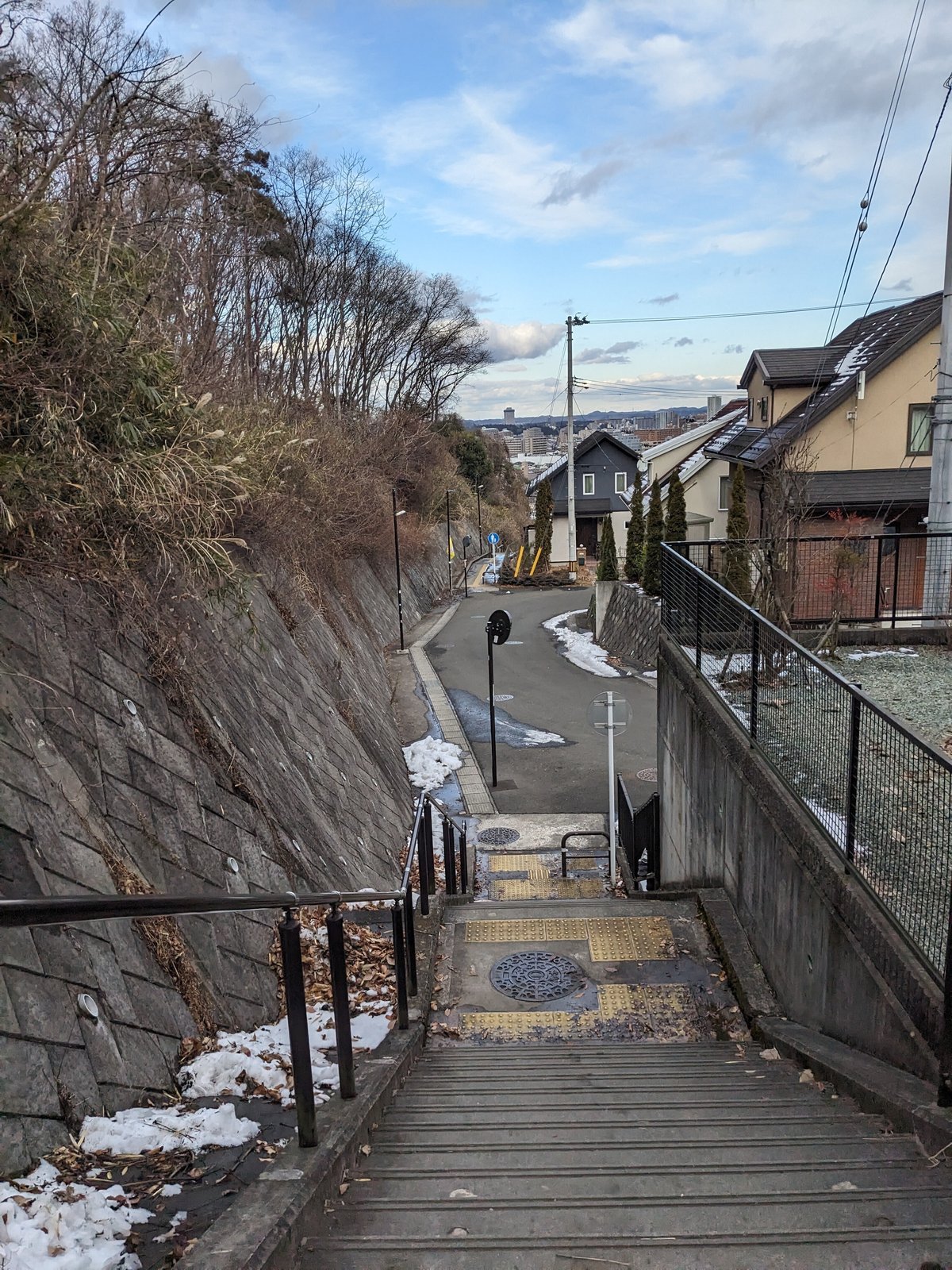 20240128 川内追廻、川内亀岡町、川内三十人町、荒巻青葉(仙台市) 風景誤読|滴々(たらたら)