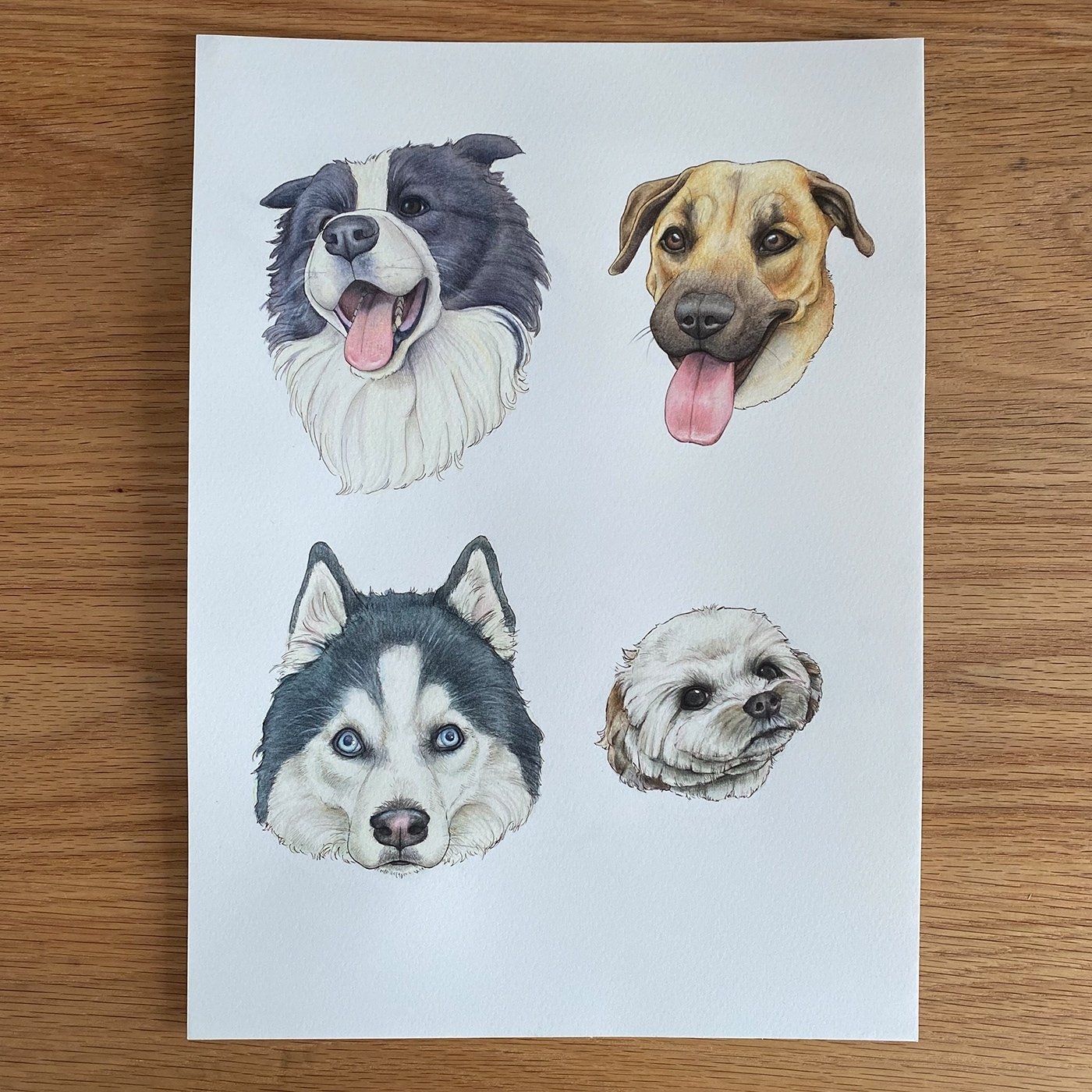 今日のイラスト #015｜ms. colorfreak