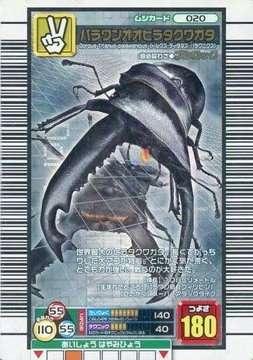 狂気】ムシキングに狂ったオタクの世迷言【初代サ終は2009年