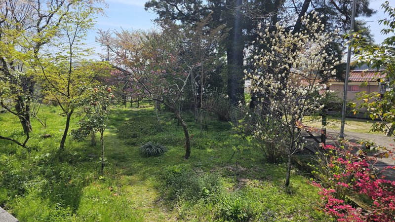 山口県周南市鹿野の中心部に流れる用水路そばの「清流通り」。宮本ガーデンは、この清流通り沿いにあります。