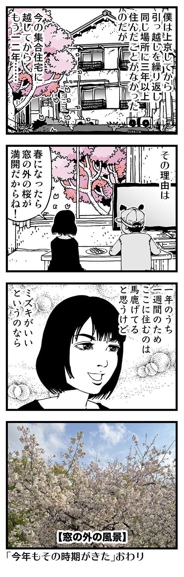 僕は、桜自体はそこまでじゃない（蛍光色の新緑のほうが好き！）のですが、彼女が喜ぶなら僕も嬉しいです。