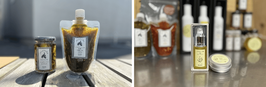 南九州、鹿児島・熊本・宮崎のとっておき！国産オリーブオイル3選