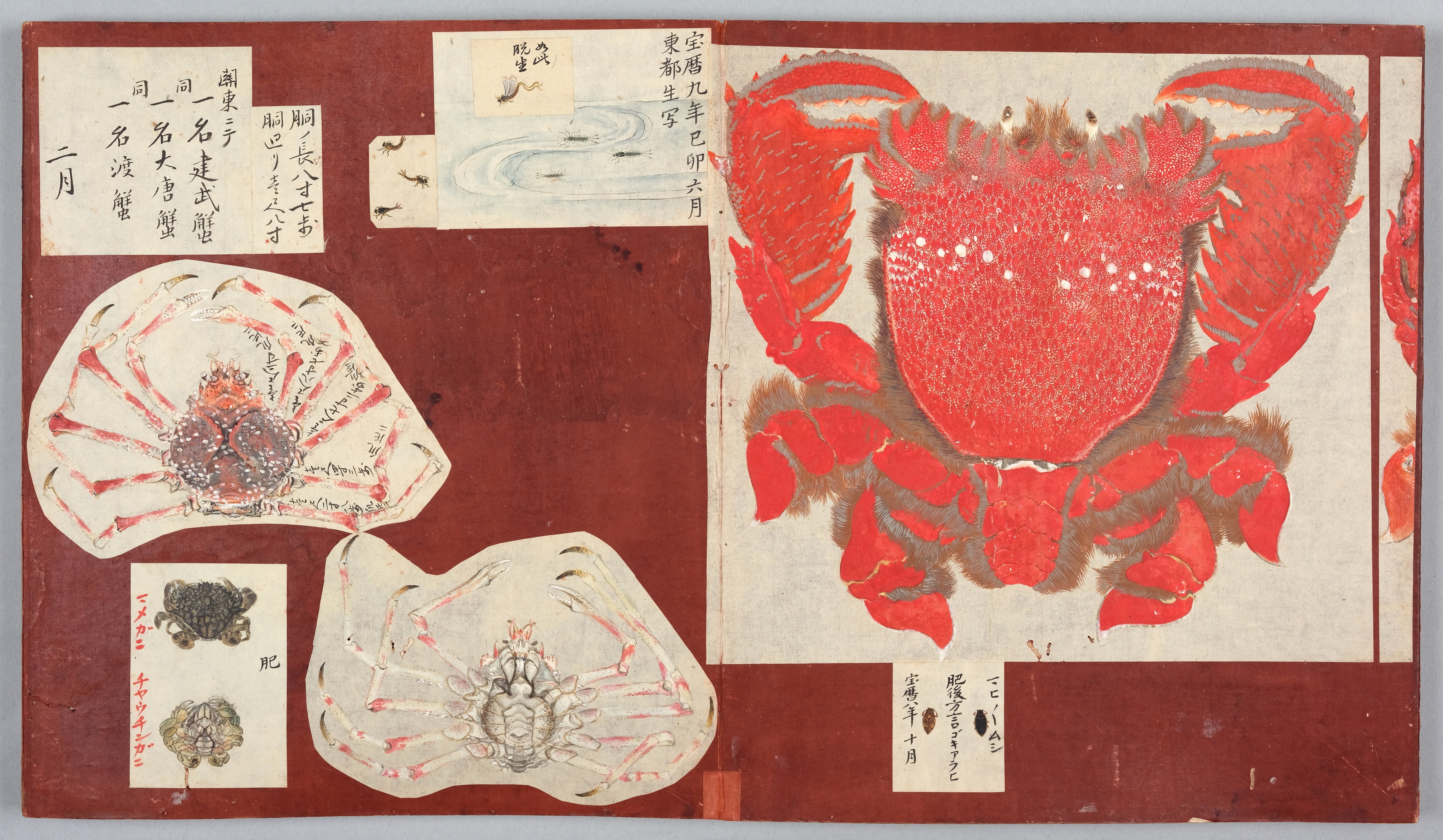 永青文庫 細川家の名宝 2002 図録 永青文庫 細川家の名宝 2002 図録