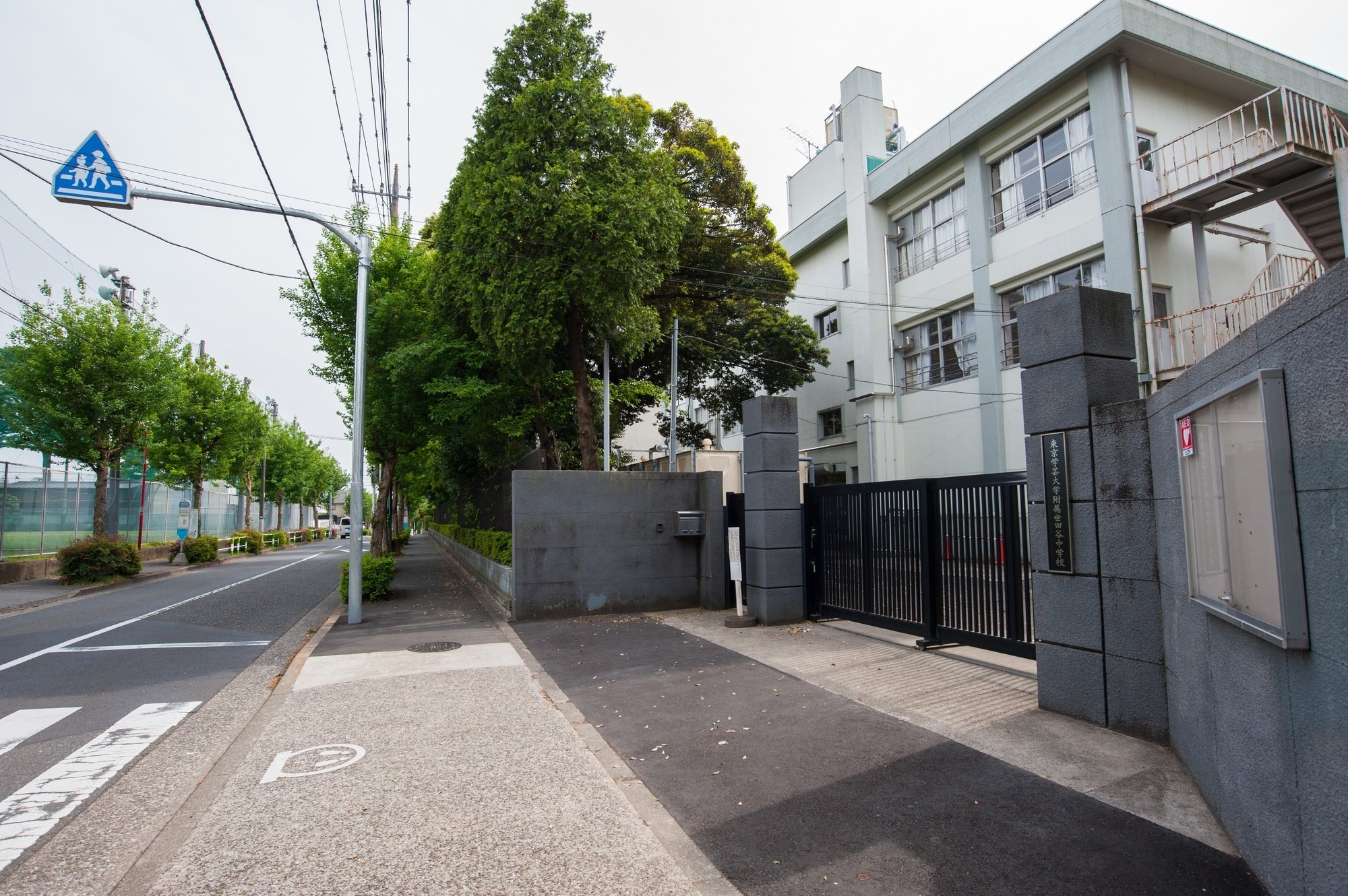 東京学芸大学附属世田谷小学校】倍率2024年版と受かる子が通う
