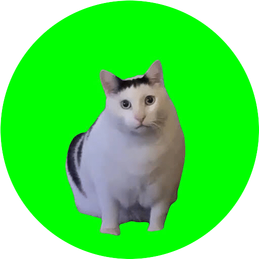 エッセイ】平和な世界「猫ミーム」(1100)｜きくちしんいち