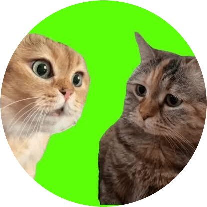 エッセイ】平和な世界「猫ミーム」(1100)｜きくちしんいち