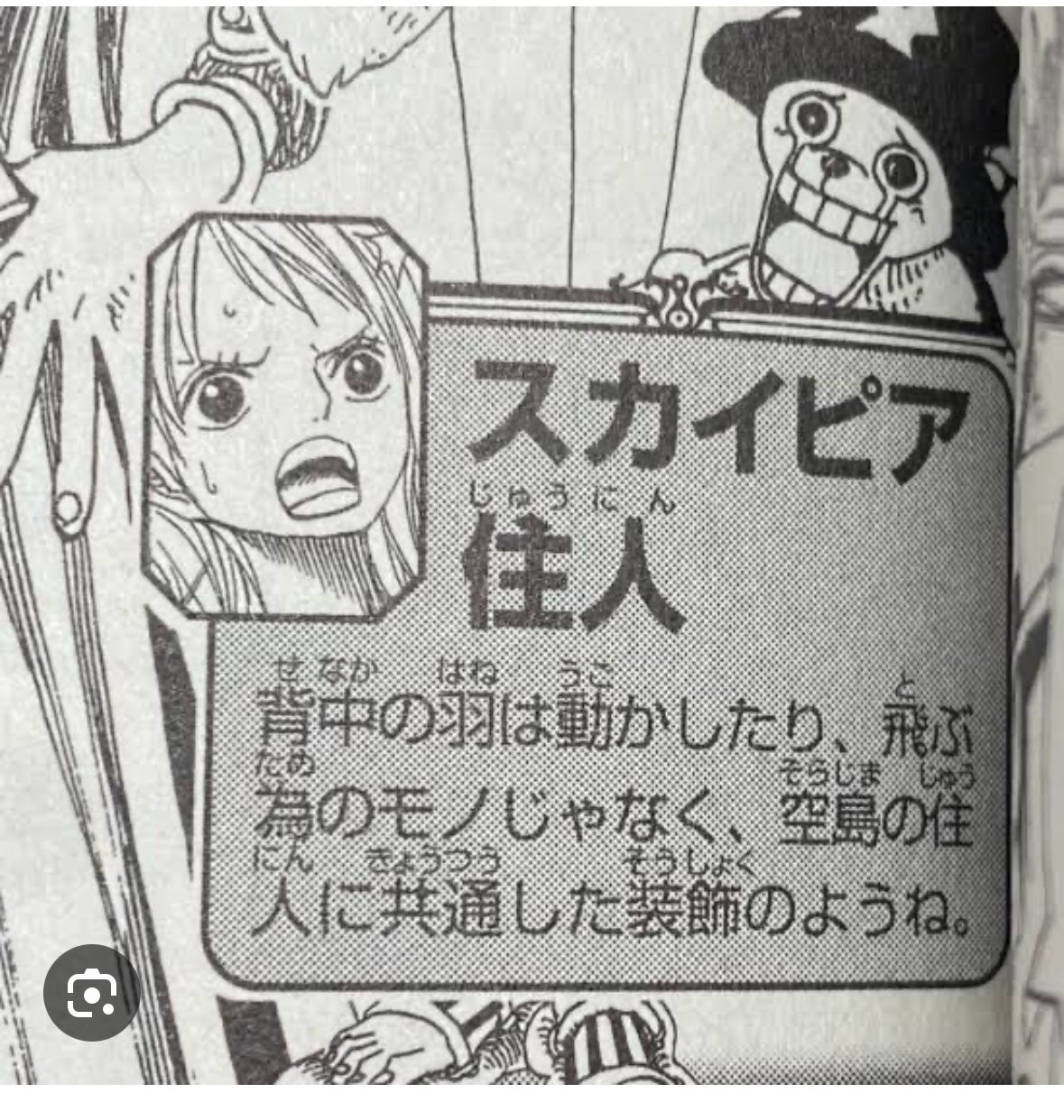 おむらいす様　　　　エネル ワンピースにおける「月の人」の話。｜e1427207