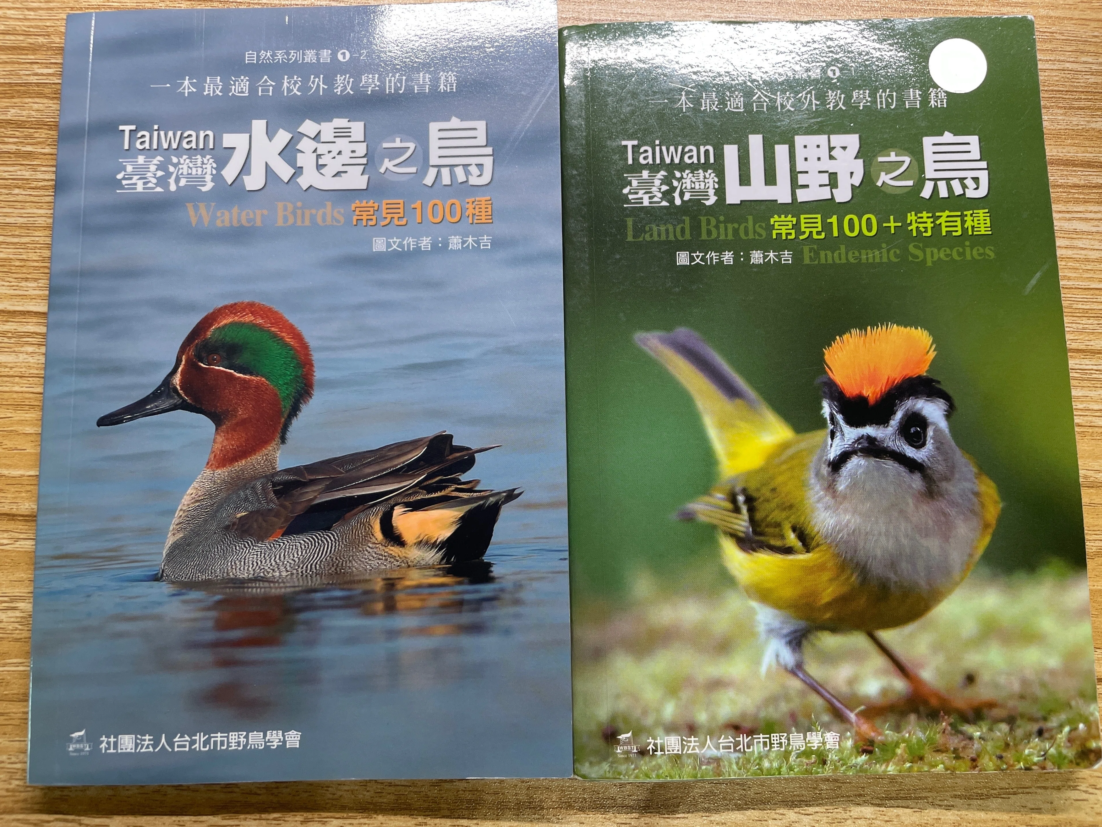 台湾 野鳥図鑑 図鑑 臺灣野鳥圖鑑 陸鳥篇 增訂版 台湾版 台湾野鳥