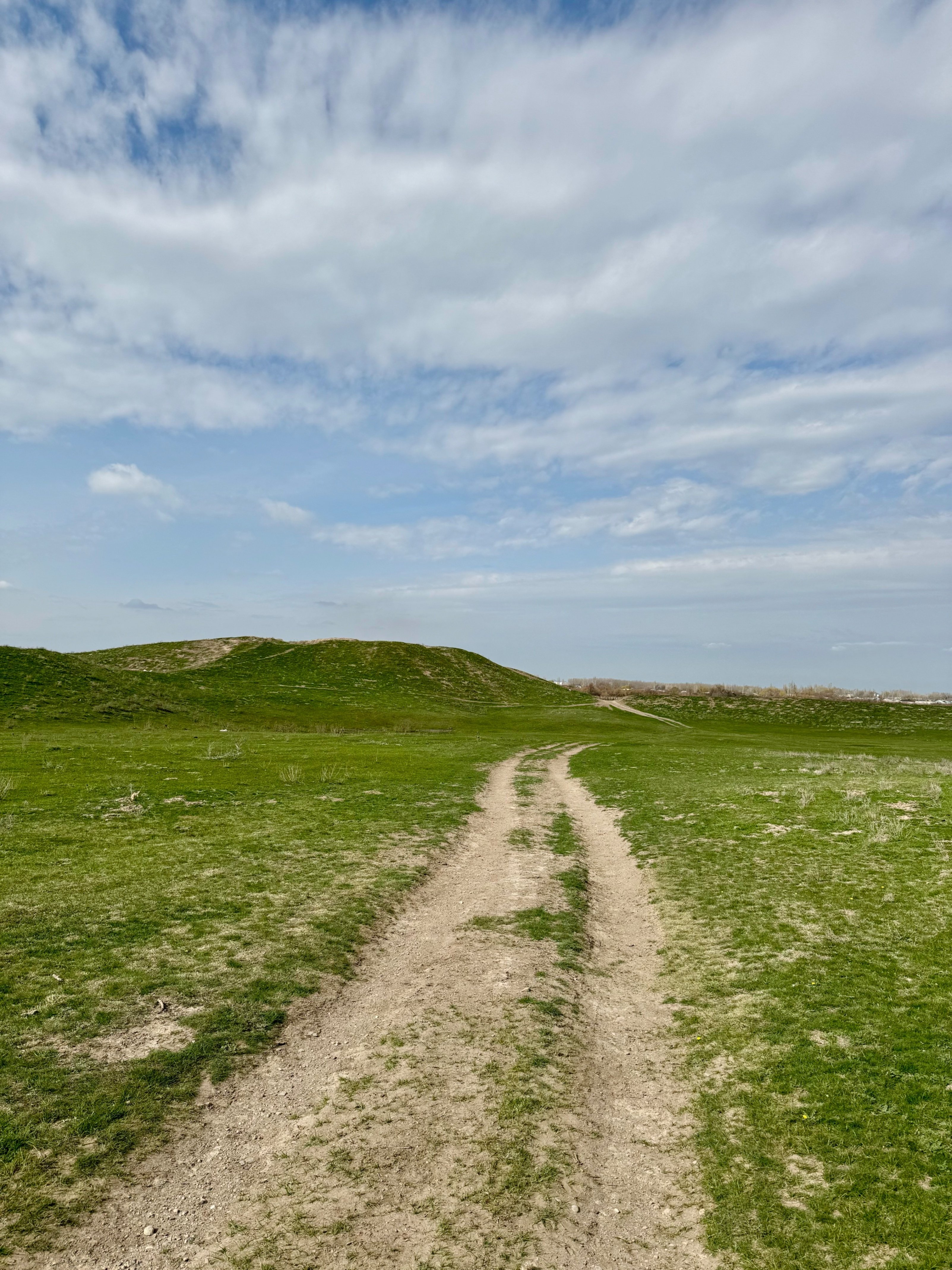 カザフスタンの世界遺産は、何もない大草原だった｜手塚 大貴