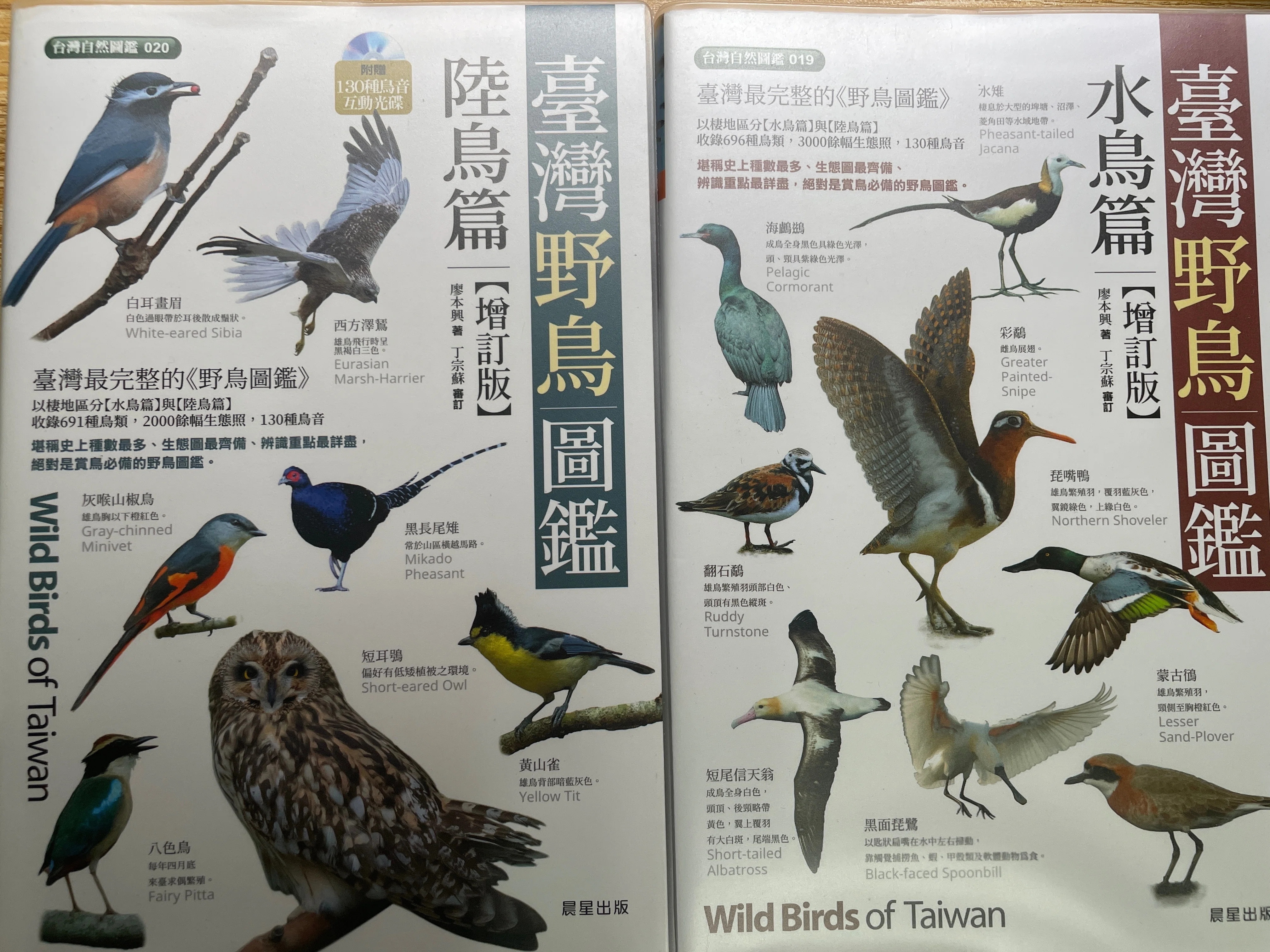 台湾野鳥の世界へようこそ！最新図鑑で探鳥の旅を極める？！｜Kaz