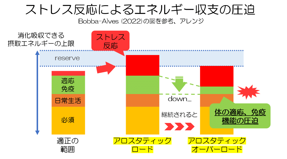 ストレスのエネルギーコスト｜KAWASAKI