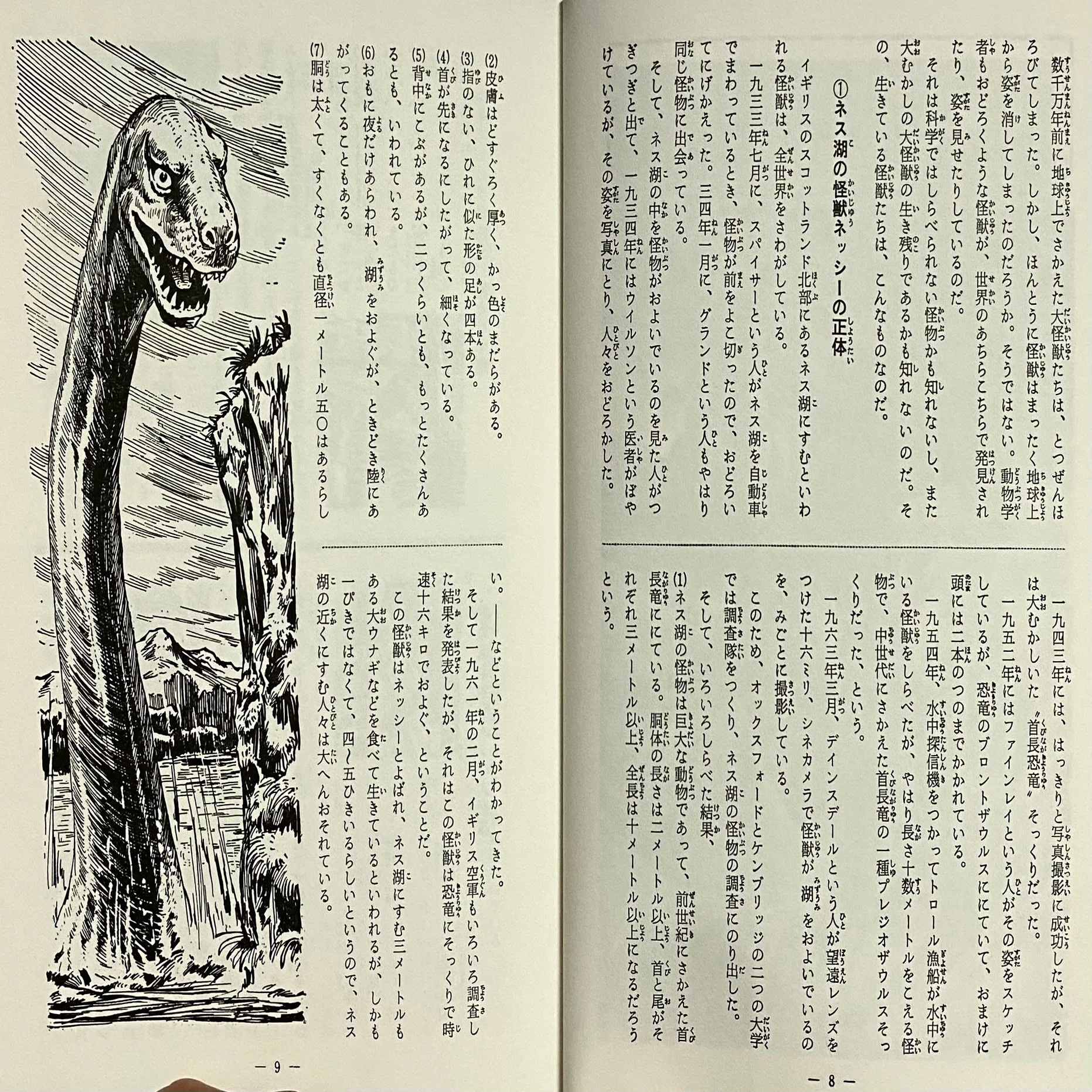 円谷英二・ 大伴昌司・ 小山内宏 『怪獣画報 〔復刻版〕』 ： のどかな 