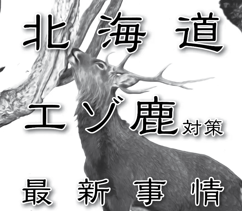 北海道エゾ鹿対策最新事情 〜 エゾシカの個体数指数管理｜けもの道の