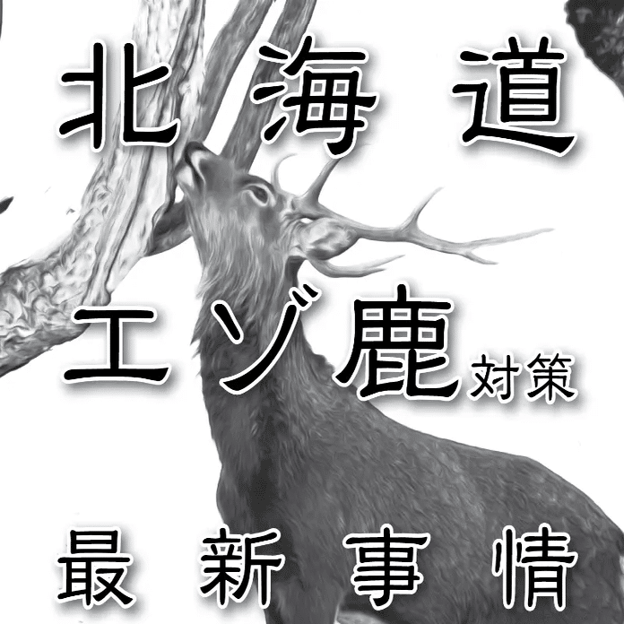 北海道エゾ鹿対策最新事情 〜 エゾシカの個体数指数管理｜けもの道の