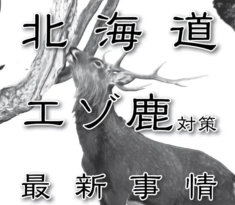 北海道】複数の鹿の角 購入者様の要望に合わせてカットや本数承ります