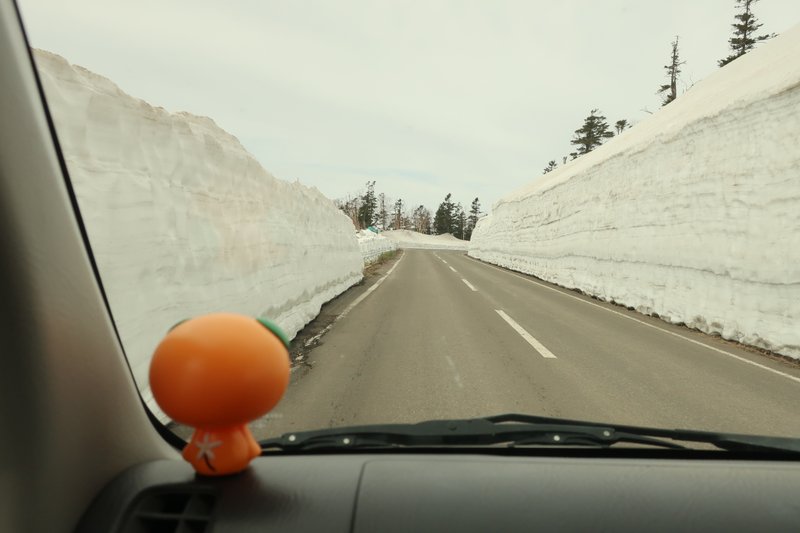 左右に高い雪の塀に囲まれた道