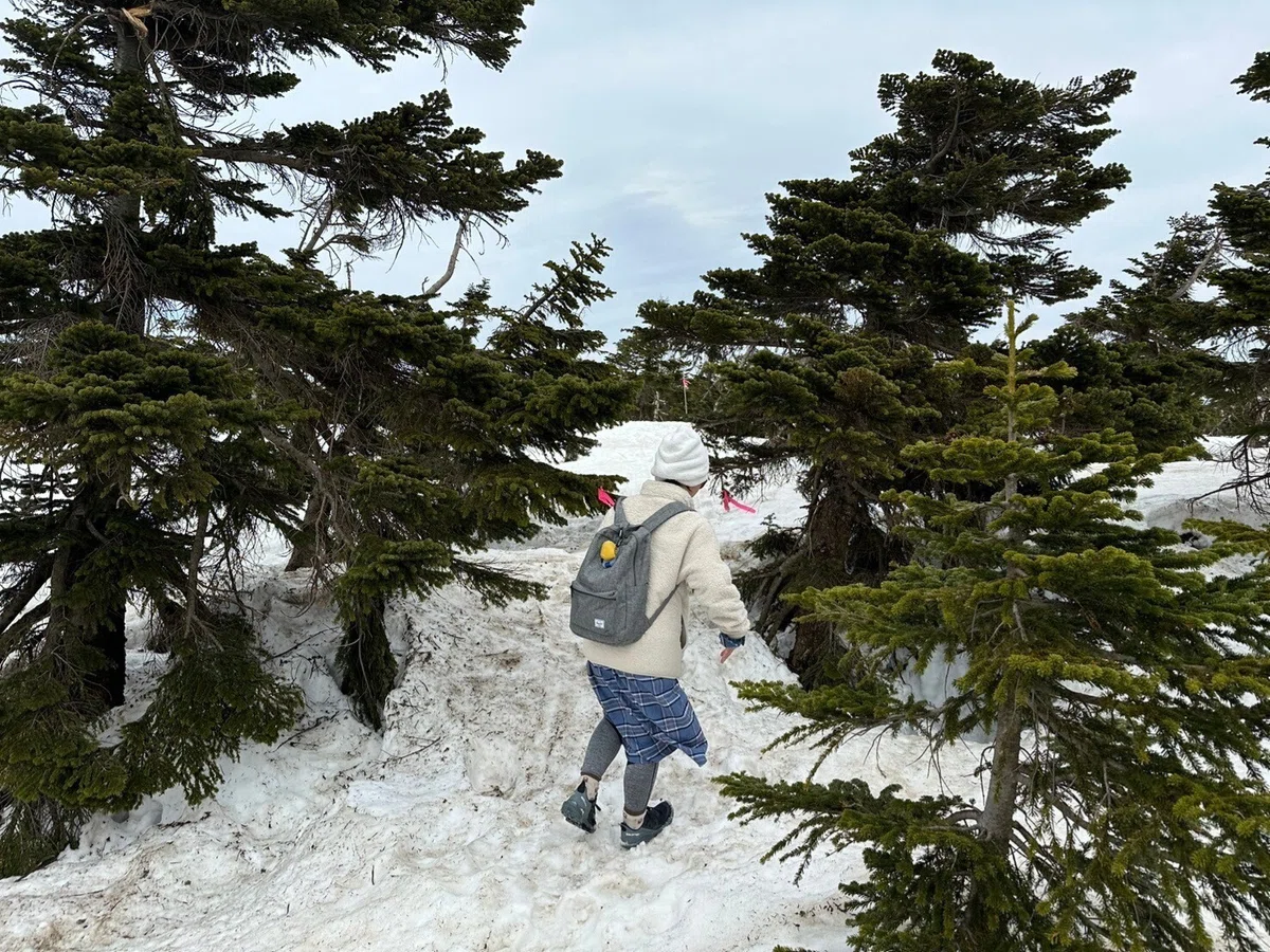雪の中を歩くわたし