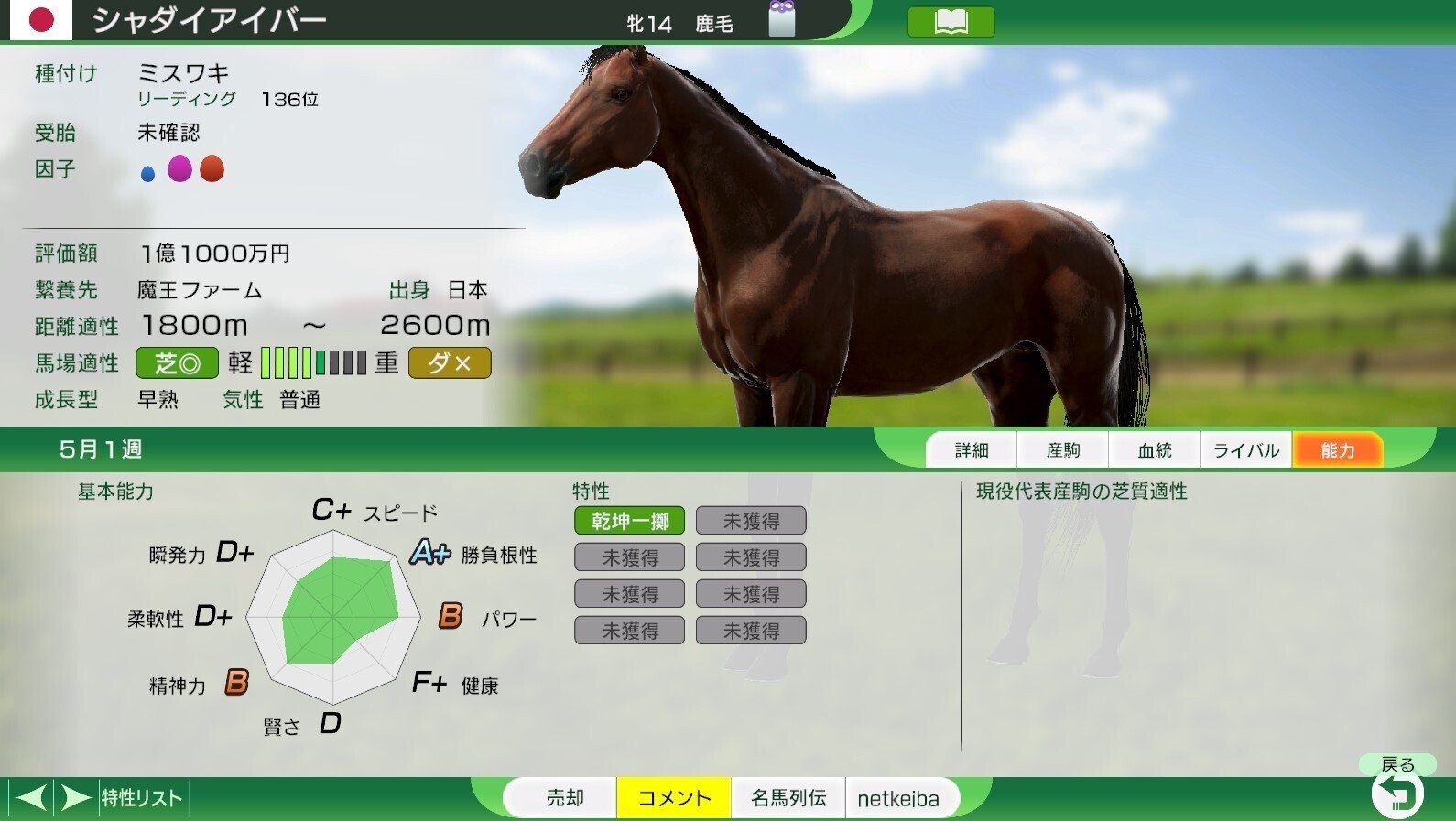 ウイニングポスト10 2024 1991年スタート厳選繁殖牝馬10選｜まお