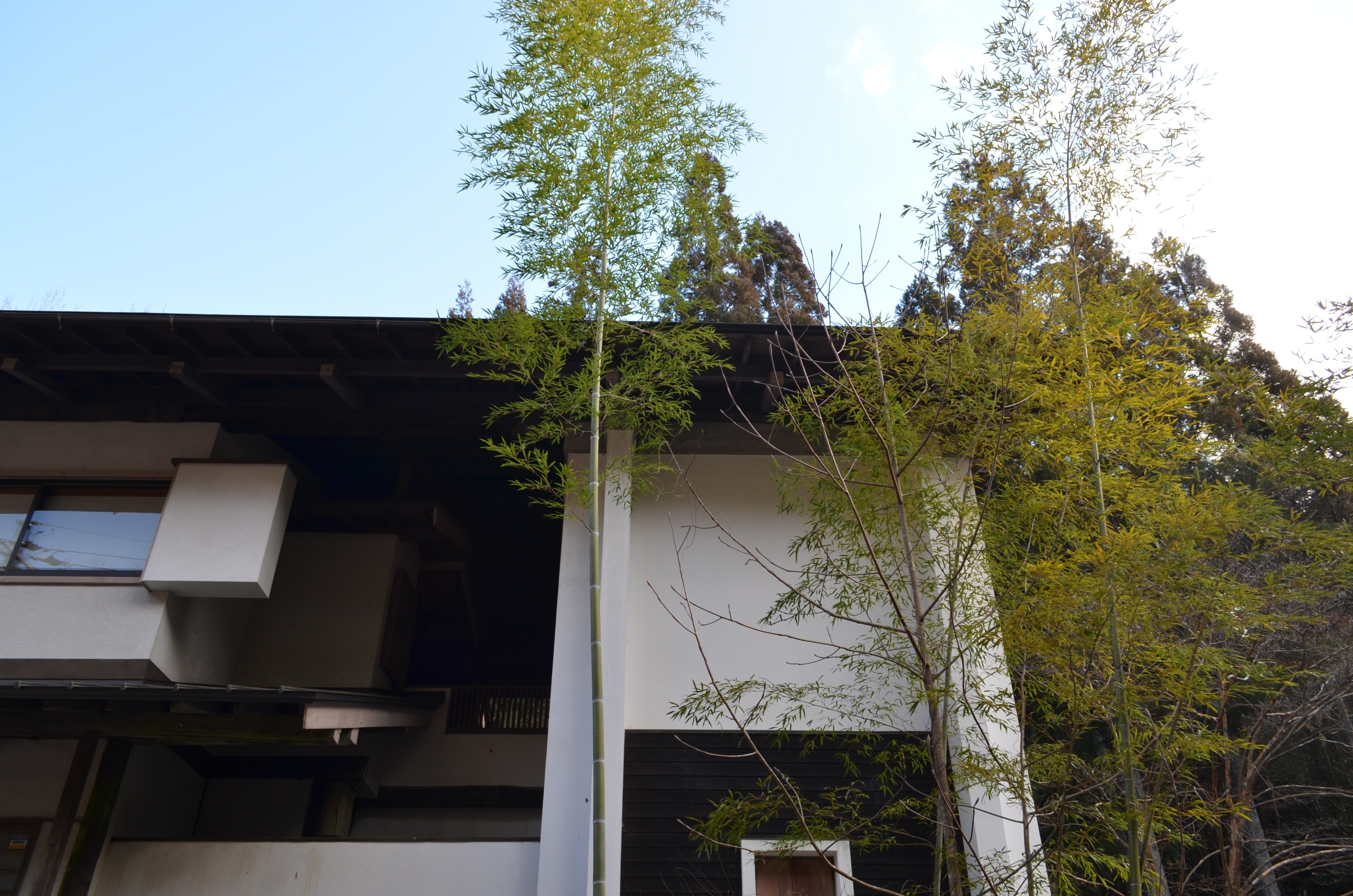 土岐市 花の木窯・小山富士夫邸を訪ねてきました｜Studiohiraya