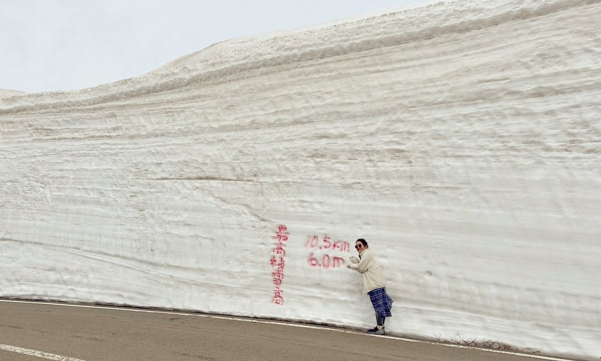 最高6mと書かれた雪の壁