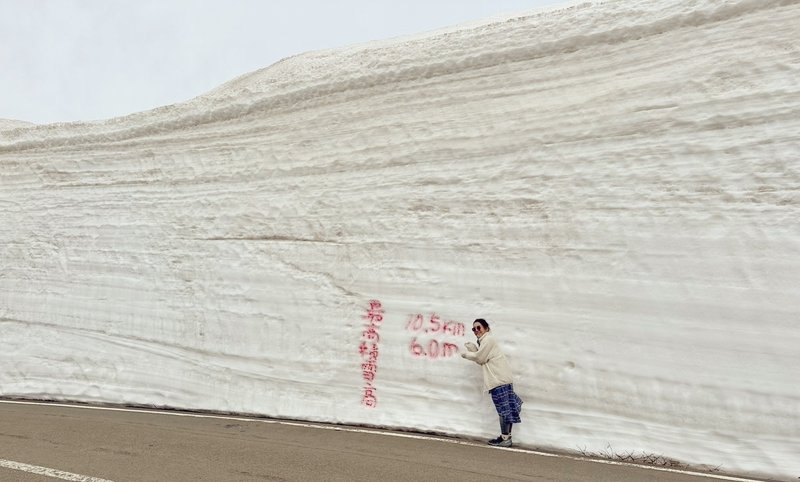 最高6mと書かれた雪の壁