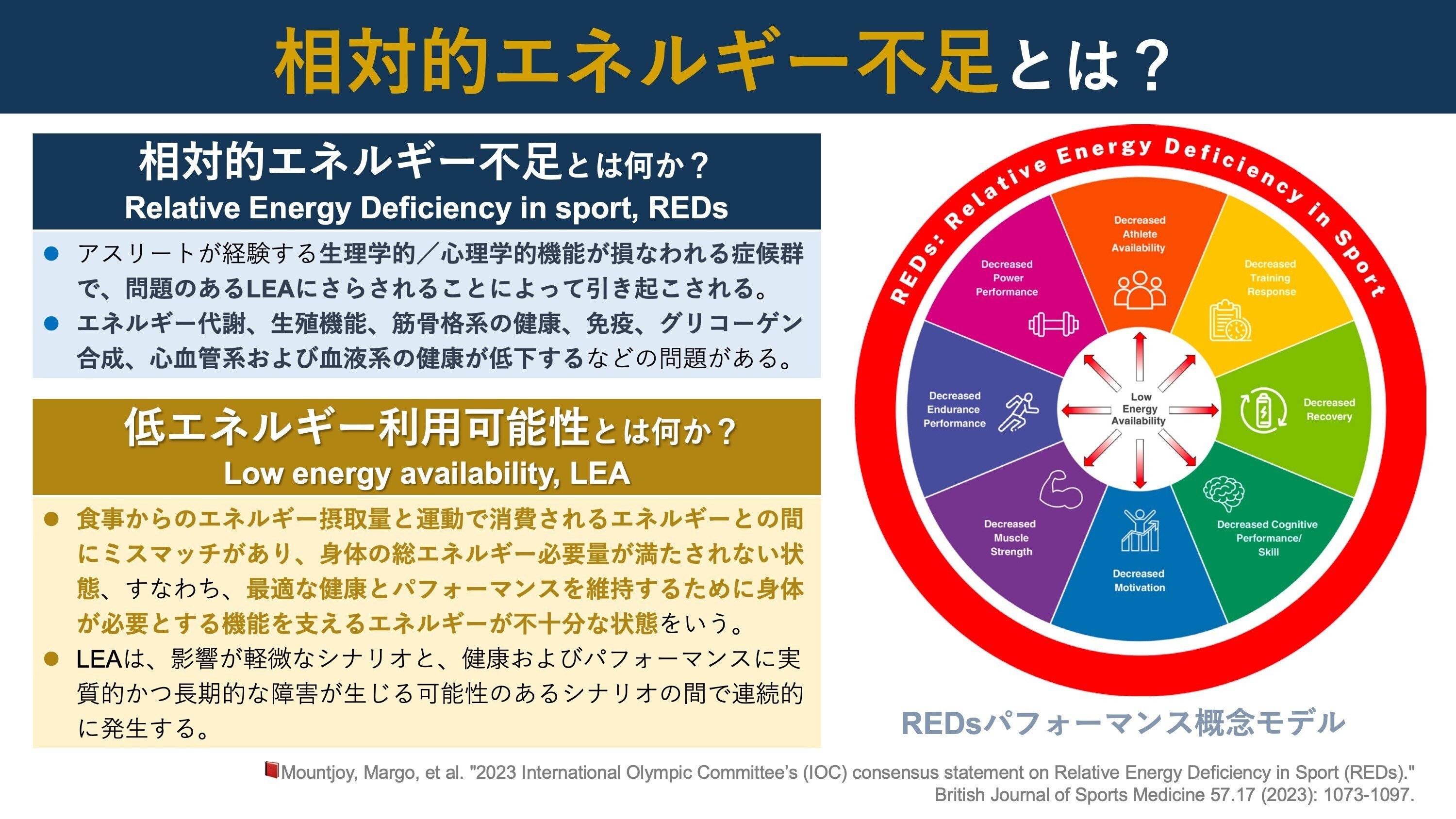 相対的エネルギー不足。理学療法士と医師の知識｜Super Human | 理学