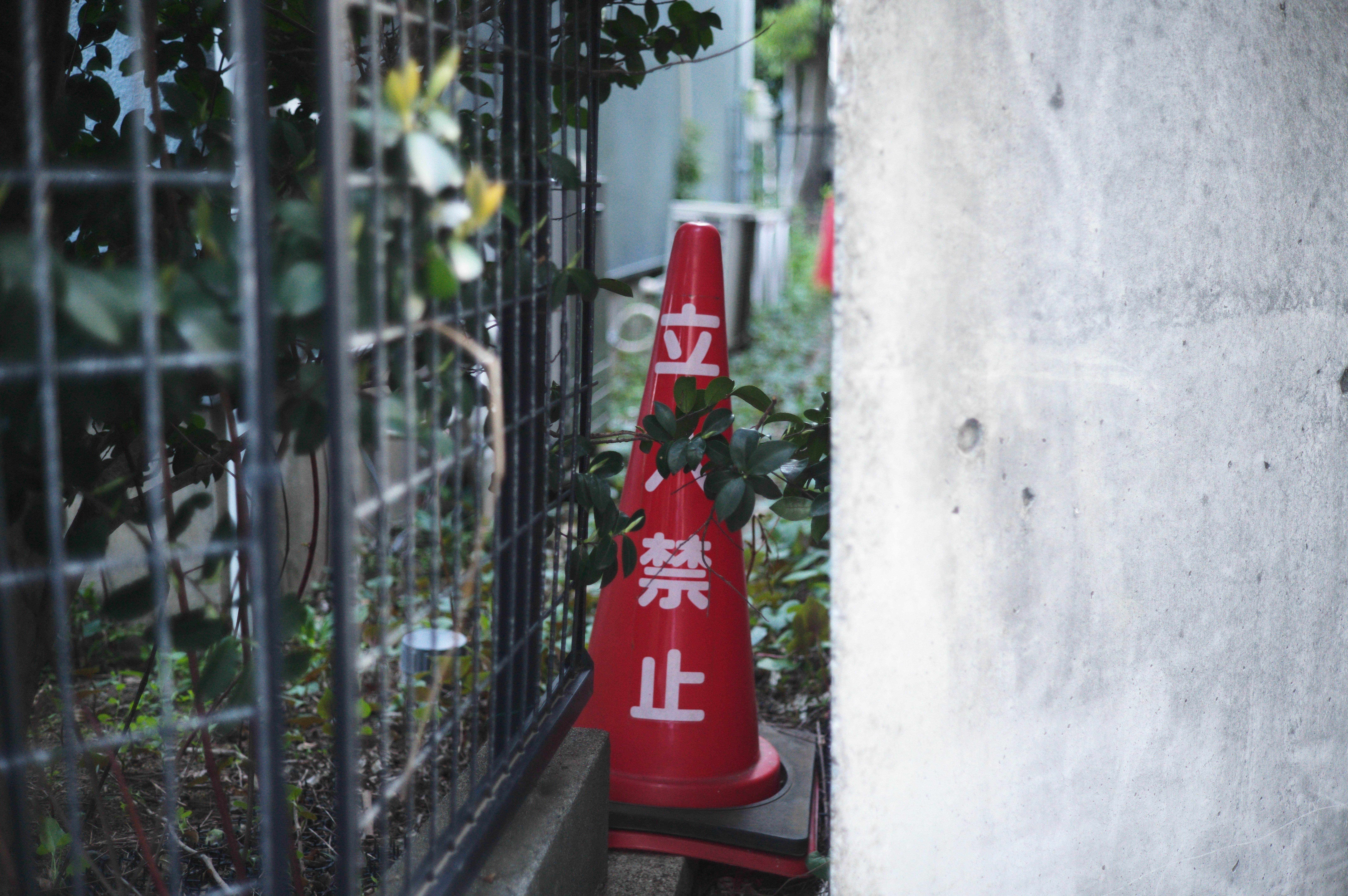 Leitz Minolta CL ＆ M-Rokkor 40mm f2.0 をお迎えした話、と