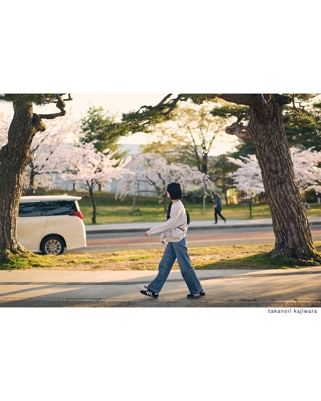 桜と夕陽とひとり時間 / ストリートポートレート｜Kajiwara_