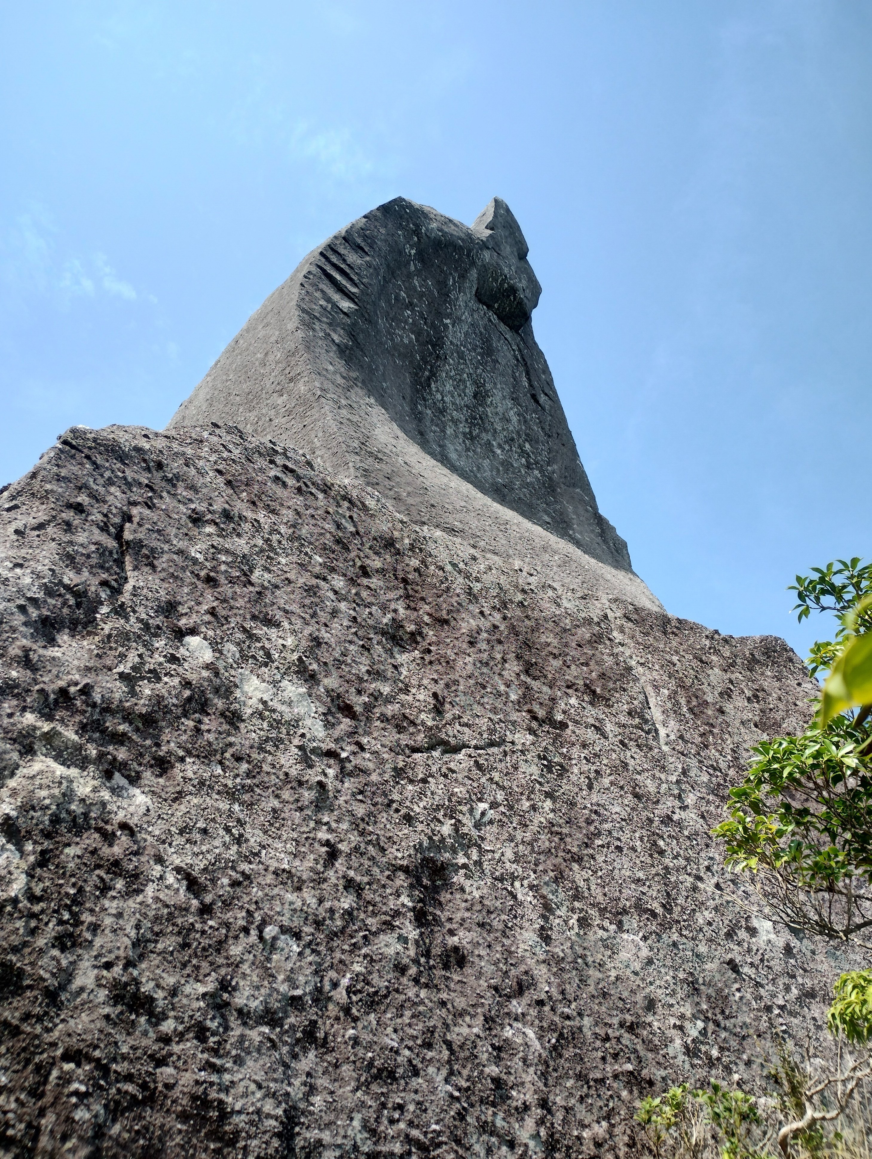 屋久島登山】太忠岳，天柱石。最高の昼寝。｜まりこ@NZワーホリ登山日記
