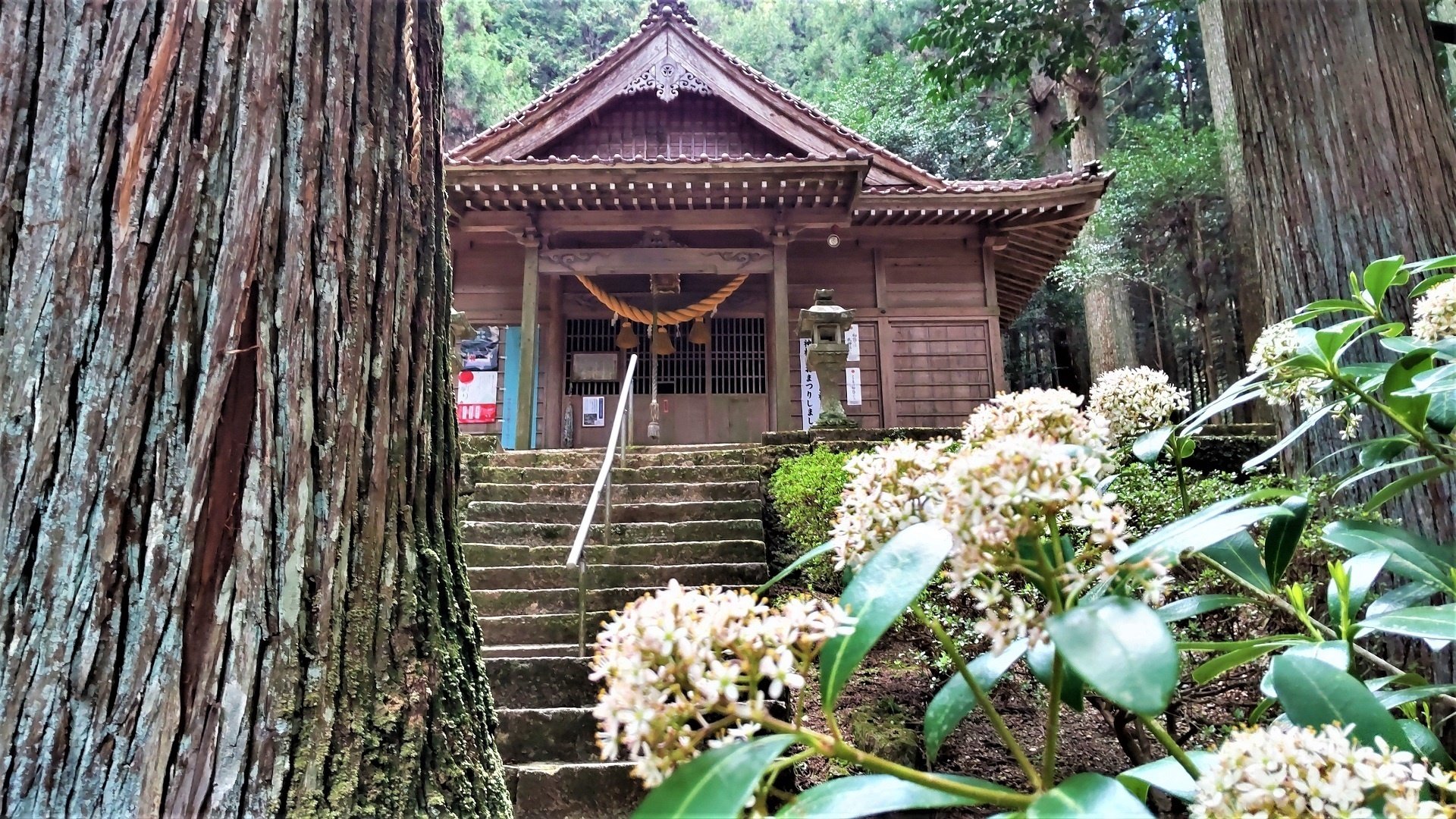 龍脈の霊石 ✨静岡水晶×騎龍観音天珠】瀬織津