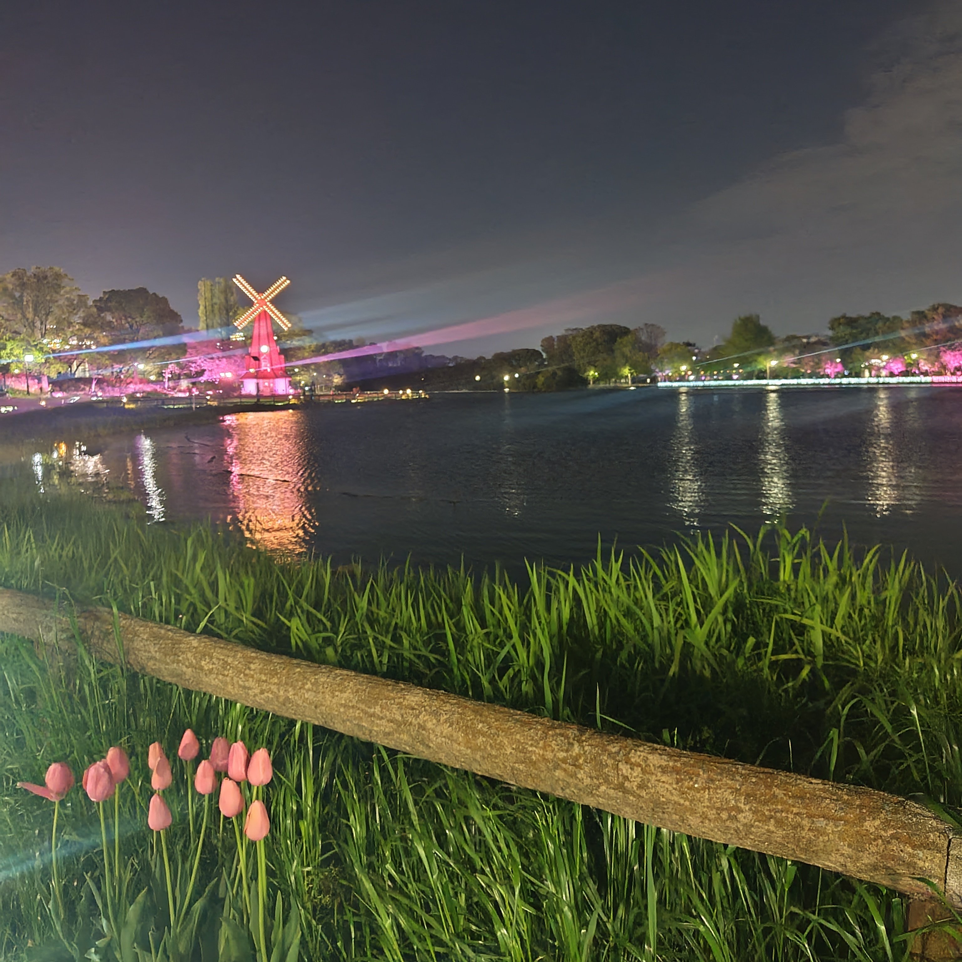 おさんぽ道楽】華やぎピンクなライトアップ〈浮間公園〉｜深拍-mihaku-