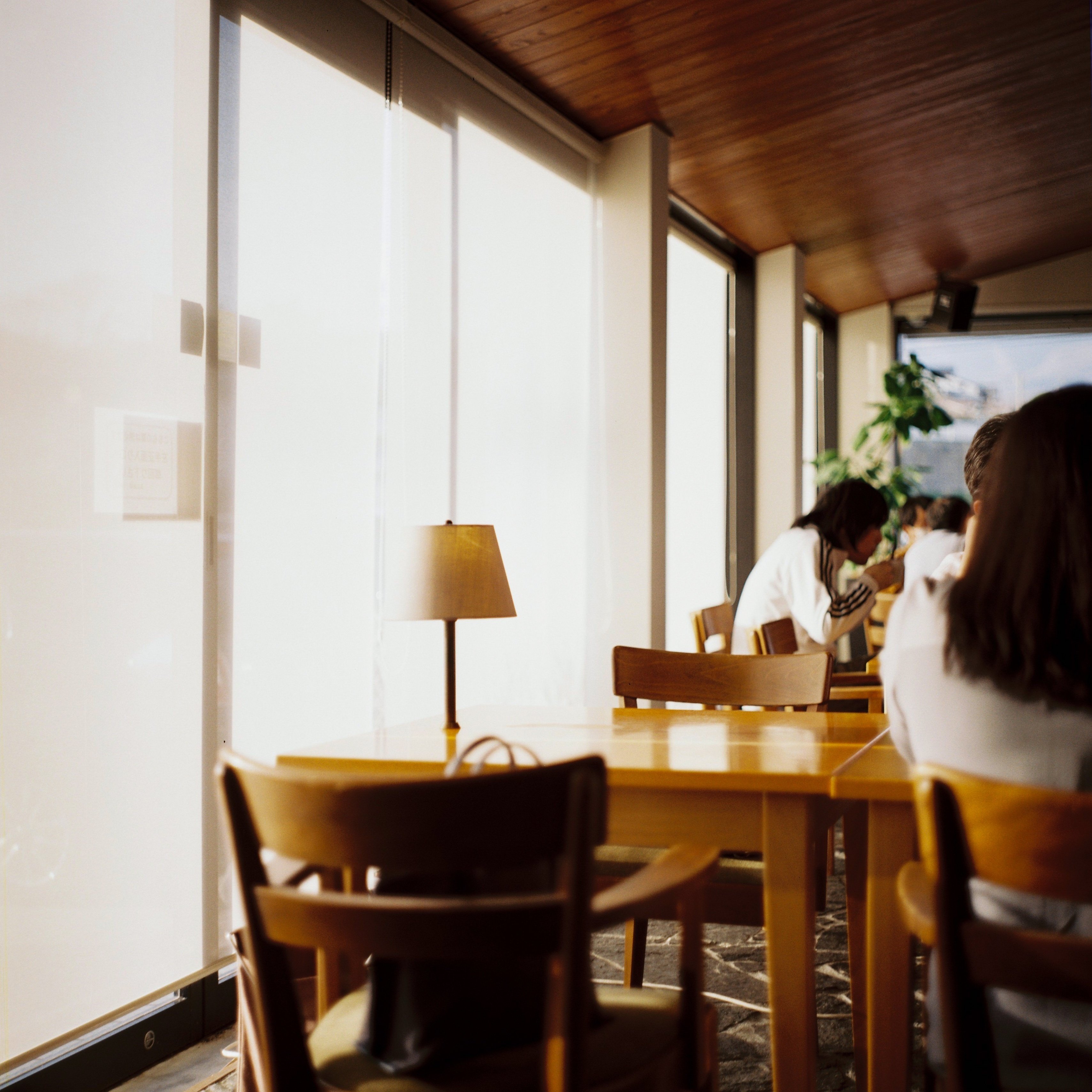 ZENZA BRONICA C2を買った所感｜Ryo Murofushi