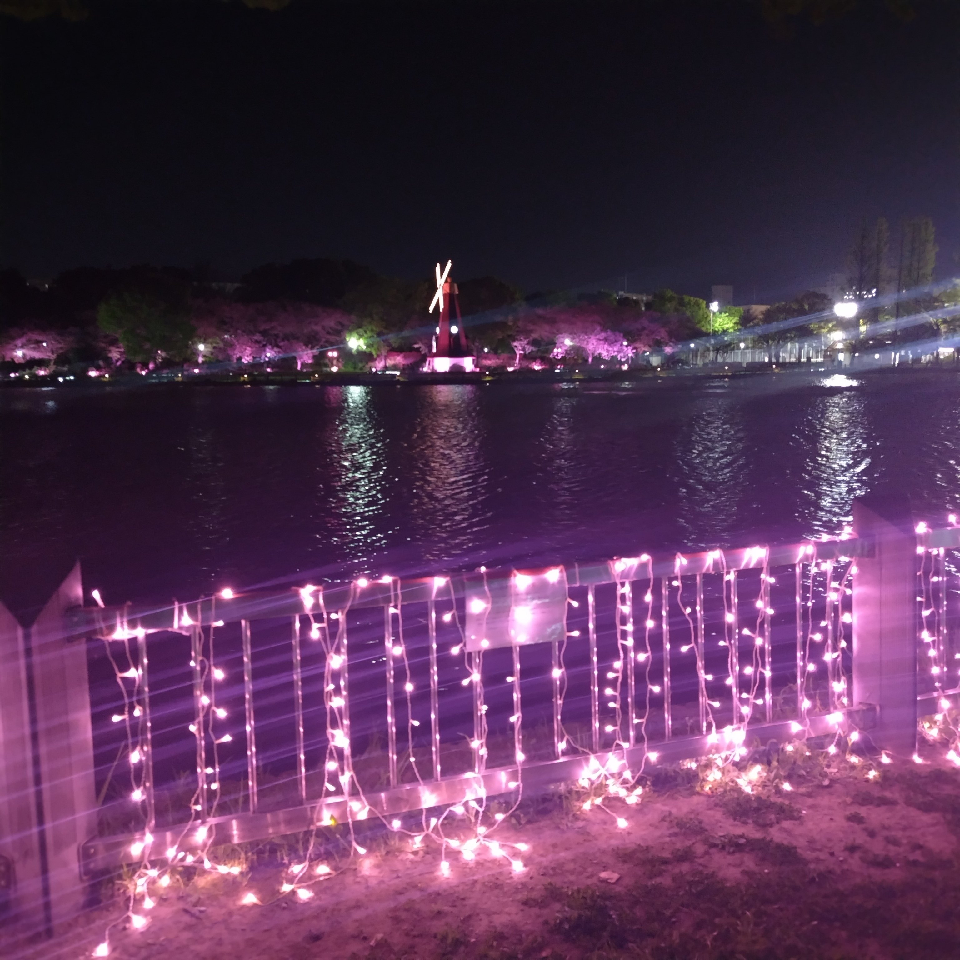 おさんぽ道楽】華やぎピンクなライトアップ〈浮間公園〉｜深拍-mihaku-