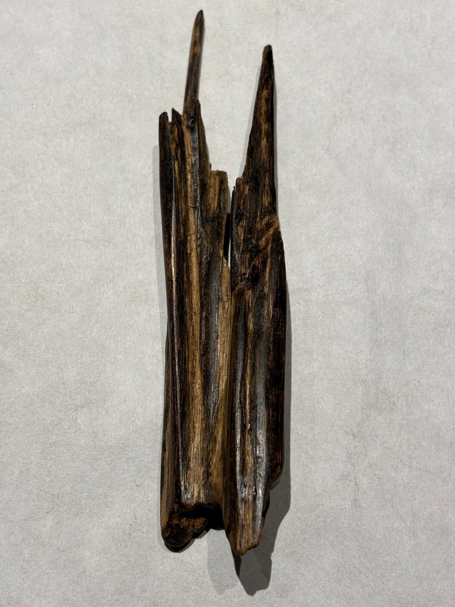 5月の推奨香木は、「伽羅系ではない」羅国♩｜山田眞裕（麻布 香雅堂