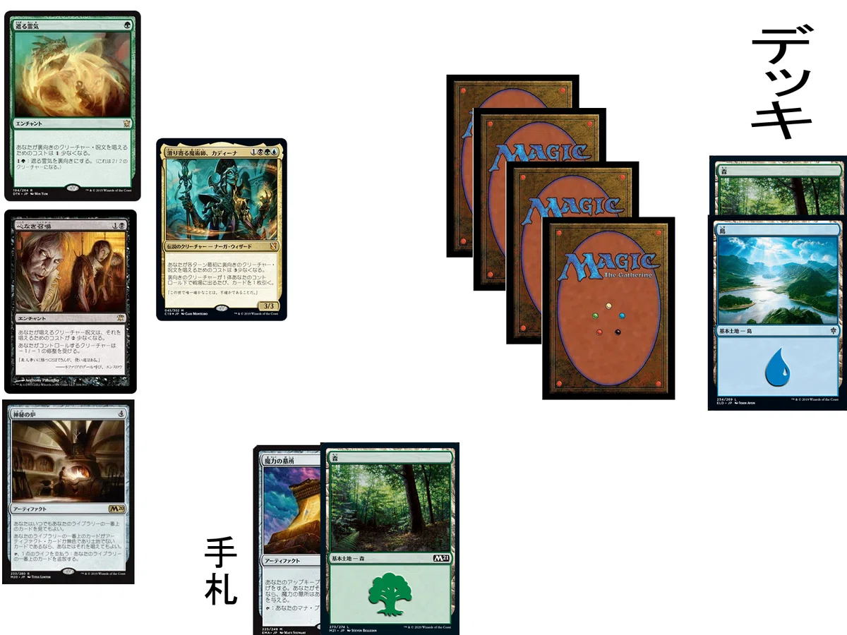 EDH 滑り寄る魔術師、カディーナ 構築を考える｜はるそら