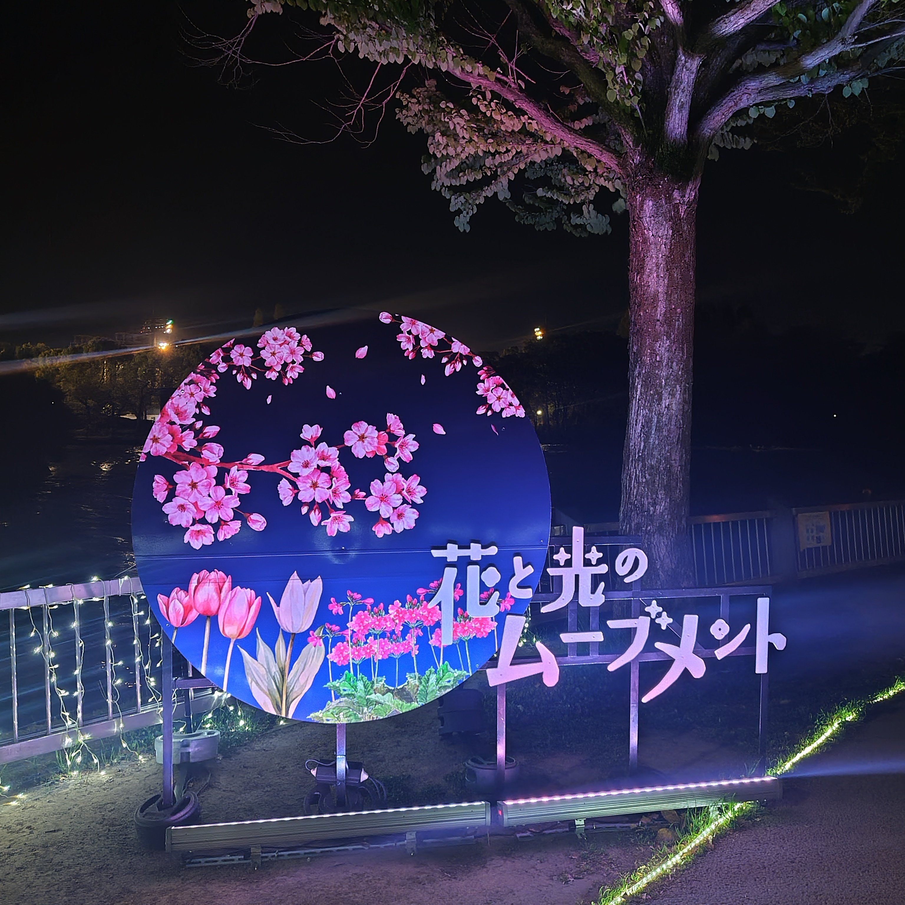 光に当てると模様が浮かび上がり綺麗です。オーラまとってる勾玉です。 𝗀𝗋𝗈𝗎𝗇𝖽𝗌 - 𝖲𝖧𝖤𝖤𝖯 𝗅𝗂𝗆𝗂𝗍𝖾𝖽 𝖼𝗈𝗅𝗈𝗋 𝗌𝗁𝗈𝖾𝗌