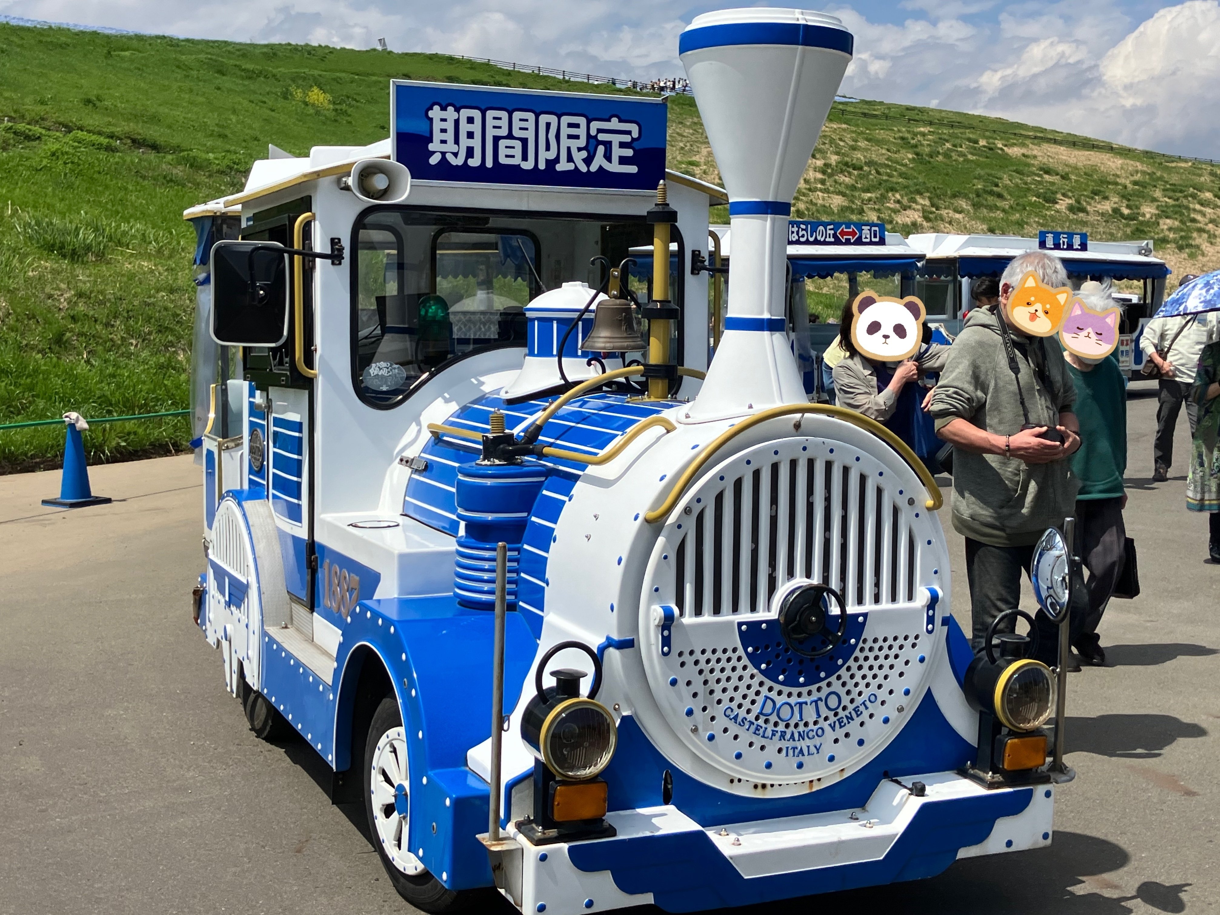 みときち様専用 ネモフィラとうさぎ シーグラス／天然石／花／ブルー