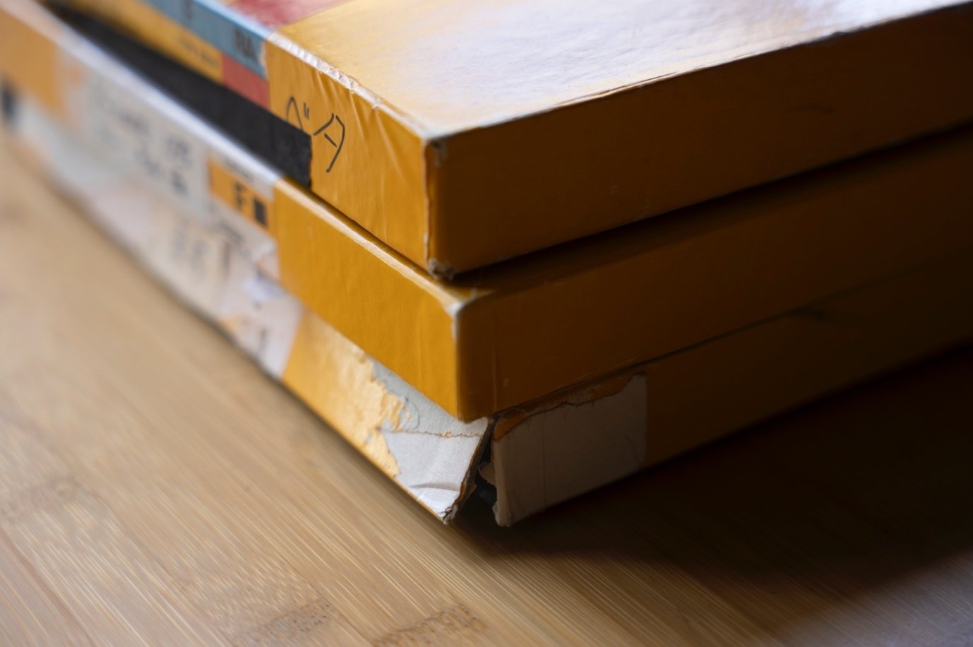 1995年のバックパッカー 1 序章｜藤代冥砂