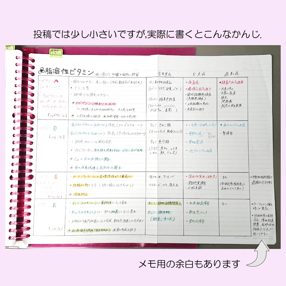 まとめノートの作り方①【基本＆基礎栄養学編】｜ujishio