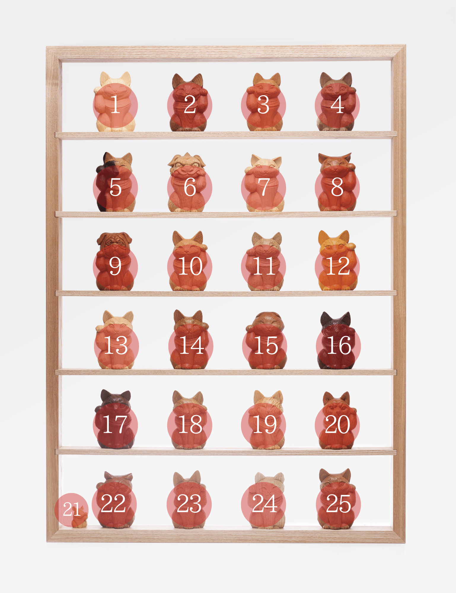 赤タブの木の希少な埋もれ木