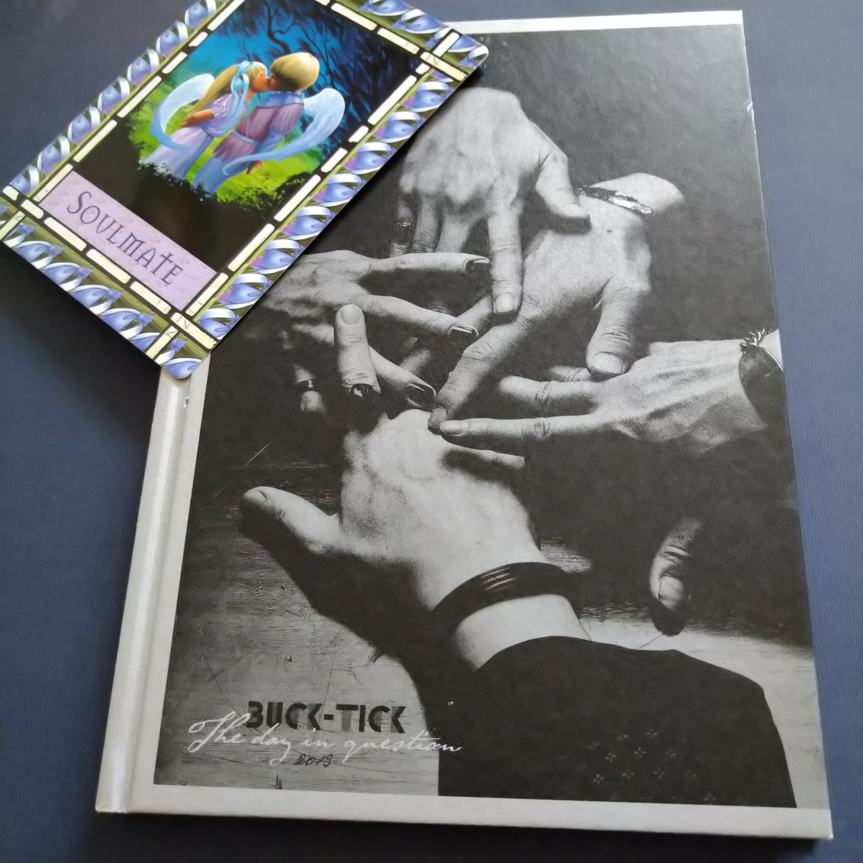 BUCK-TICK パンフレット DIQ 2013（THE DAY IN QUESTION 2013